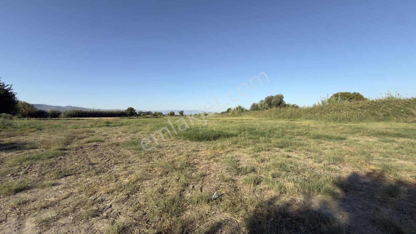 Takasa Açık |aydın Efeler Serçeköyde 5.900 M² Yola Cepheli | — fotoğraf 20