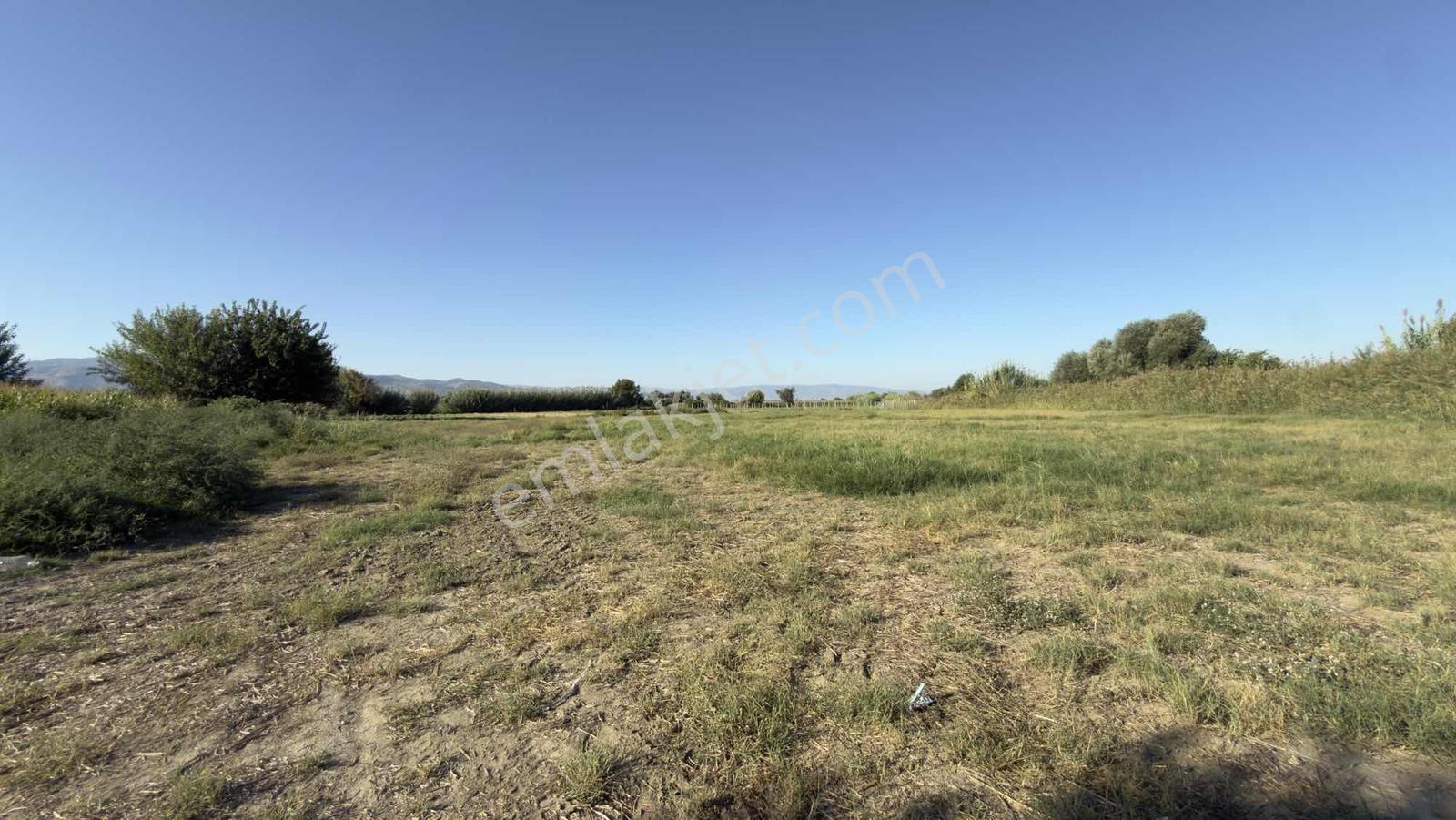 Takasa Açık |aydın Efeler Serçeköyde 5.900 M² Yola Cepheli | — fotoğraf 21