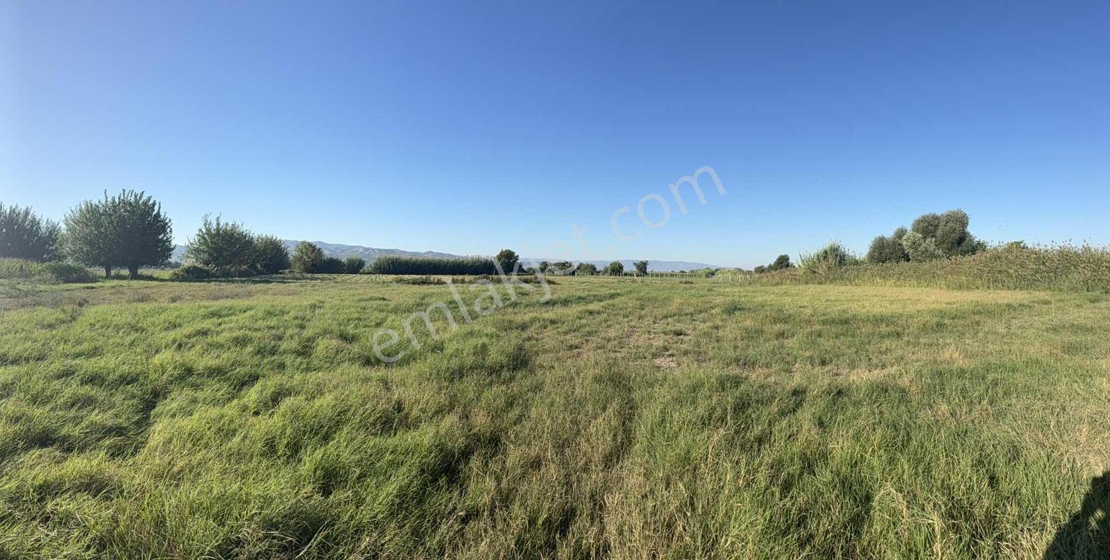 Takasa Açık |aydın Efeler Serçeköyde 5.900 M² Yola Cepheli | — fotoğraf 22