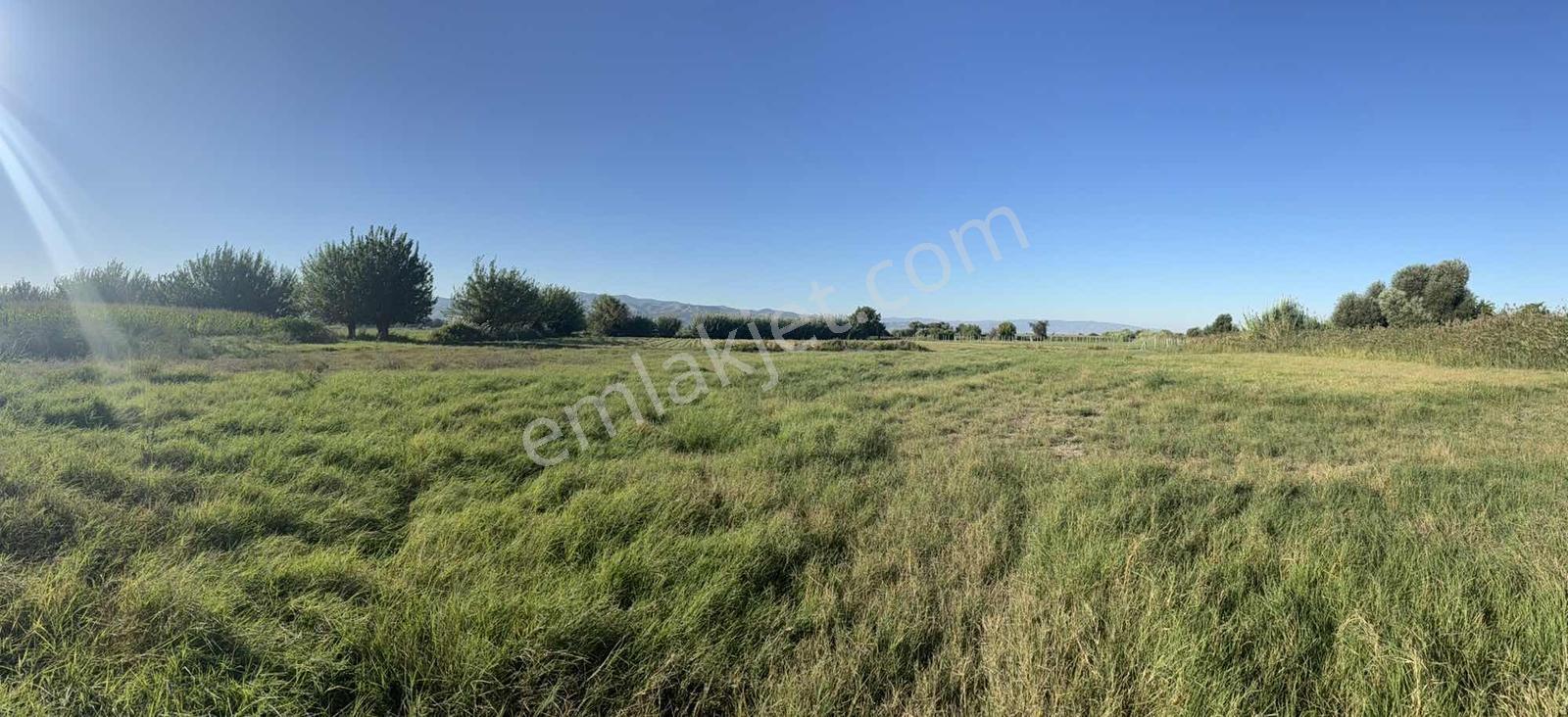Takasa Açık |aydın Efeler Serçeköyde 5.900 M² Yola Cepheli | — fotoğraf 23