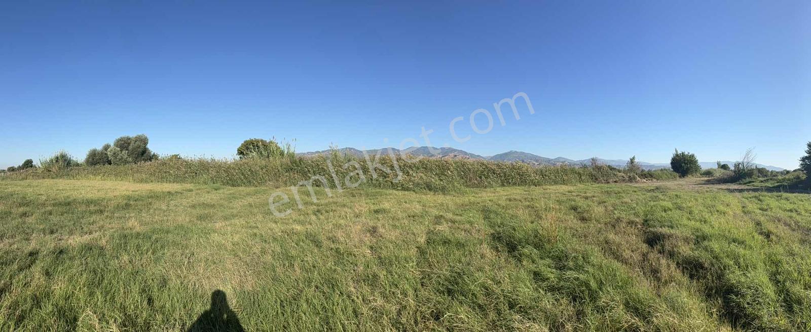 Takasa Açık |aydın Efeler Serçeköyde 5.900 M² Yola Cepheli | — fotoğraf 24