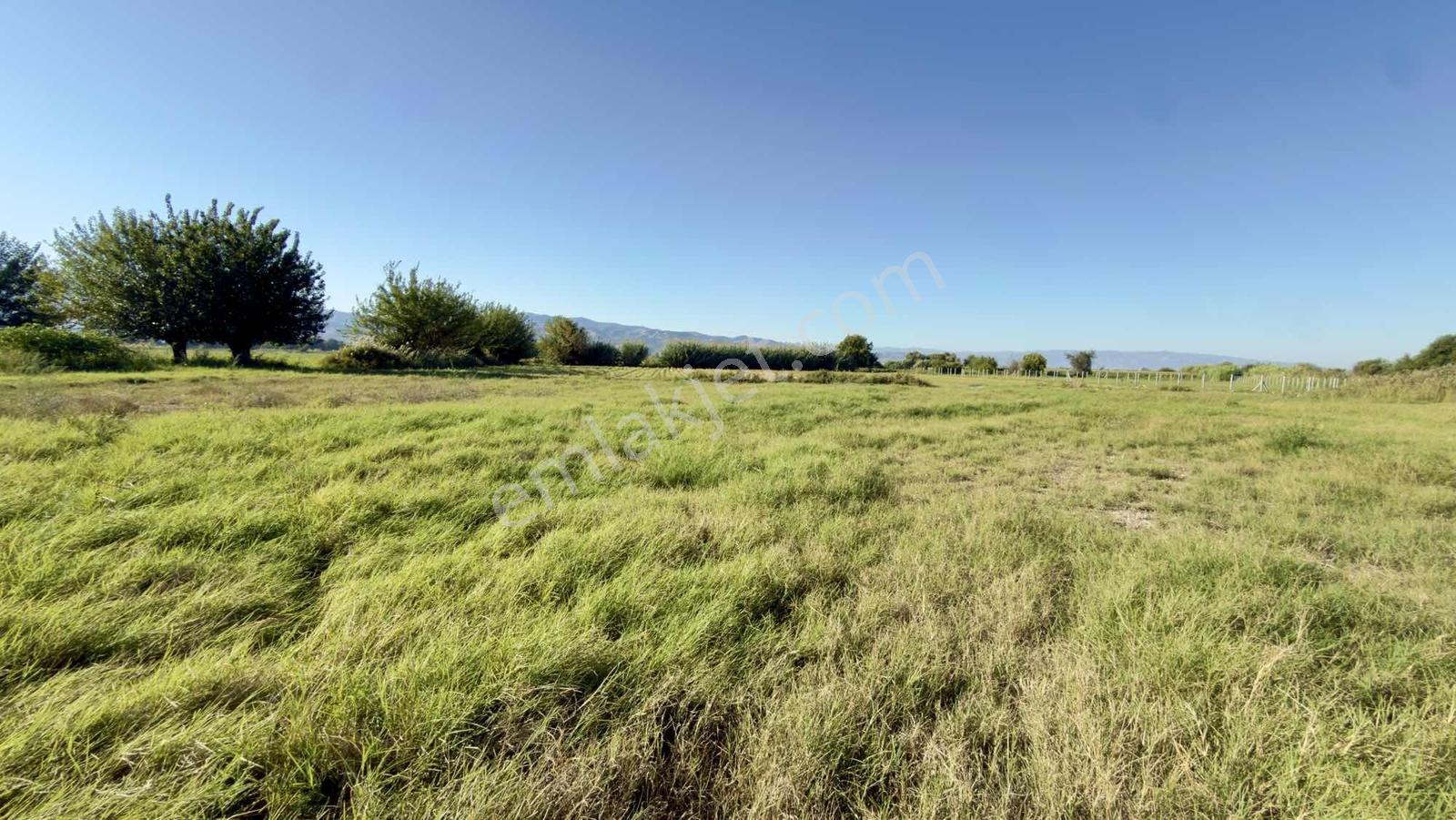 Takasa Açık |aydın Efeler Serçeköyde 5.900 M² Yola Cepheli | — fotoğraf 26