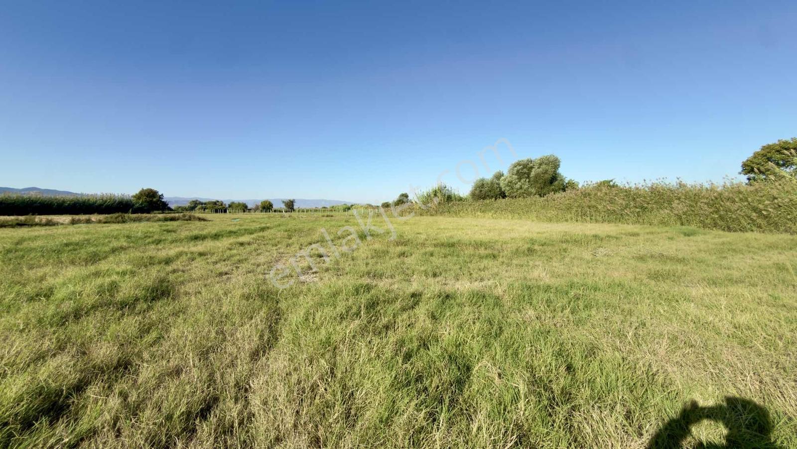 Takasa Açık |aydın Efeler Serçeköyde 5.900 M² Yola Cepheli | — fotoğraf 27