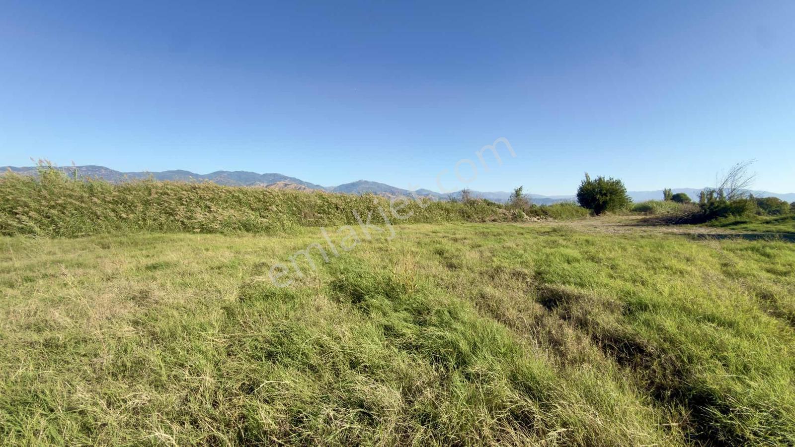 Takasa Açık |aydın Efeler Serçeköyde 5.900 M² Yola Cepheli | — fotoğraf 28