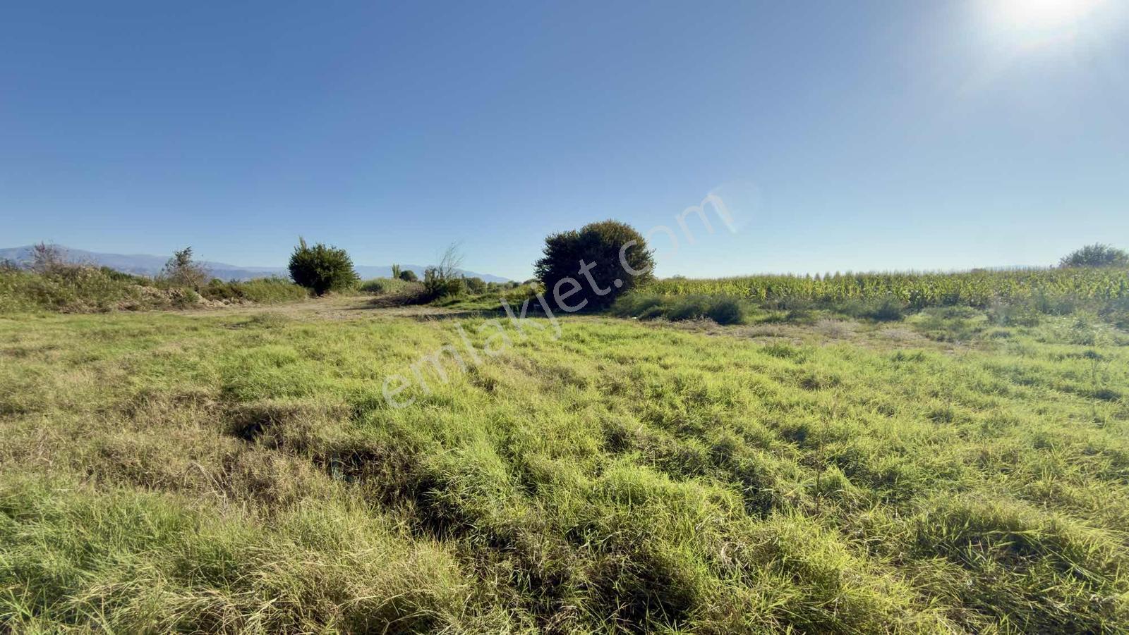 Takasa Açık |aydın Efeler Serçeköyde 5.900 M² Yola Cepheli | — fotoğraf 29