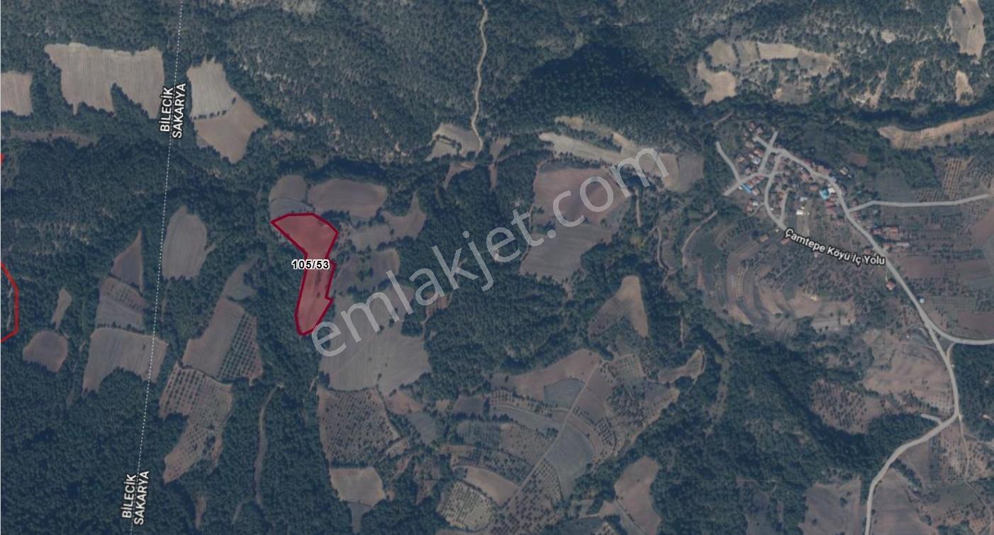 Remax Vira Özlem Şimşek'Ten Taraklı Çamtepe'De 15.560M2 Tarla