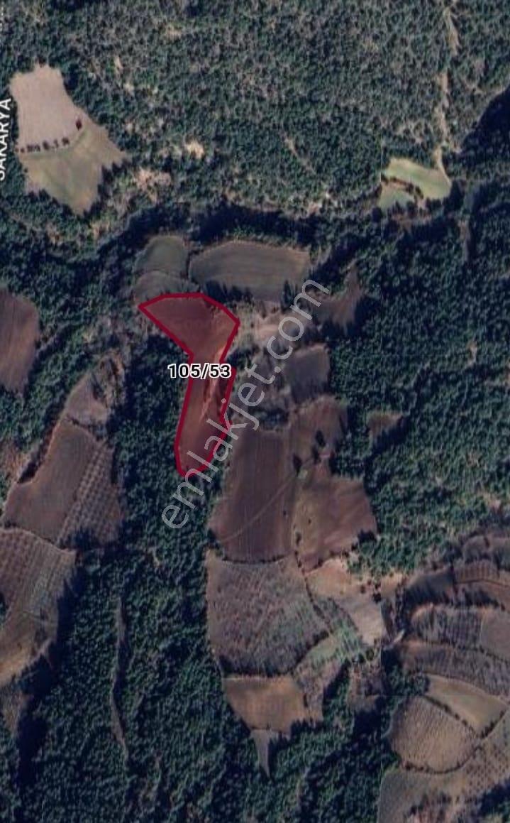 Remax Vira Özlem Şimşek'ten Taraklı Çamtepe'de 15.560m2 Tarla — fotoğraf 2