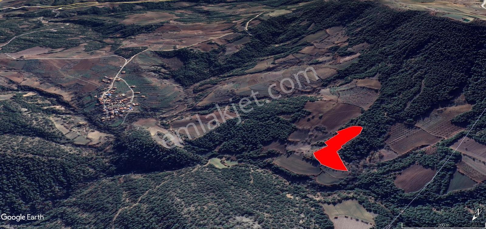 Remax Vira Özlem Şimşek'ten Taraklı Çamtepe'de 15.560m2 Tarla — fotoğraf 7