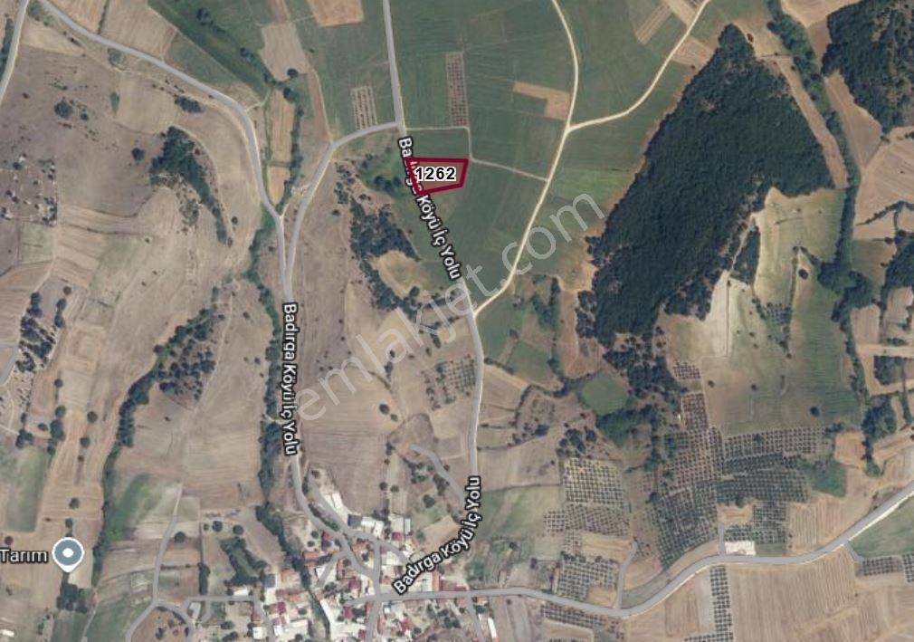 The Poınt'ten Badırga'da 2800 M2 Satılık Tarla — fotoğraf 3