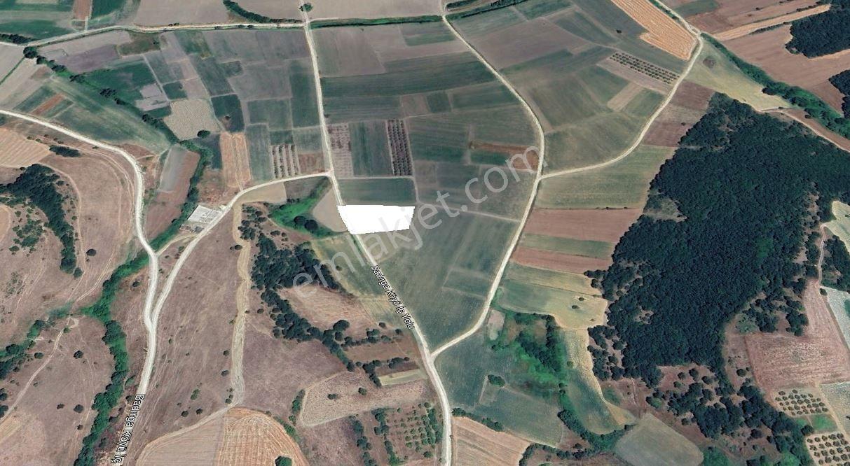 The Poınt'ten Badırga'da 2800 M2 Satılık Tarla — fotoğraf 4