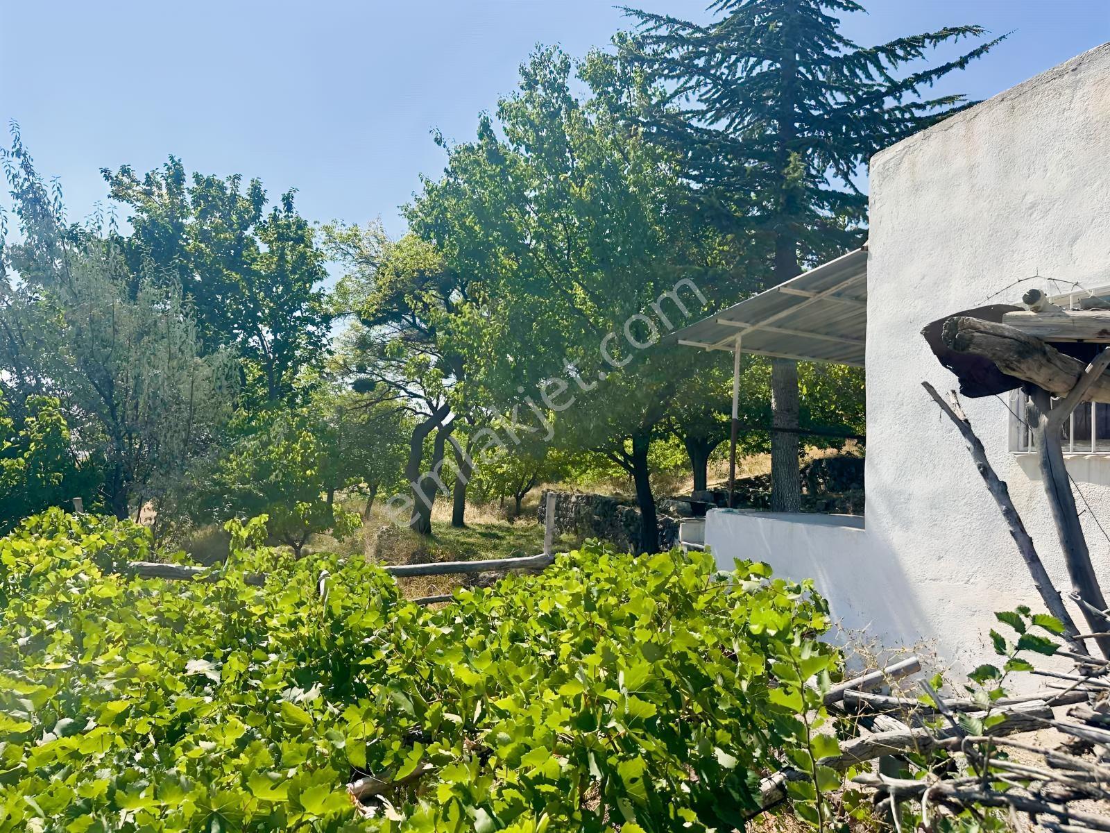 Bor Okçuda 3930 M² Evli, İmarlı Bölümlü, Üzüm Bağlı Bahçe — fotoğraf 2