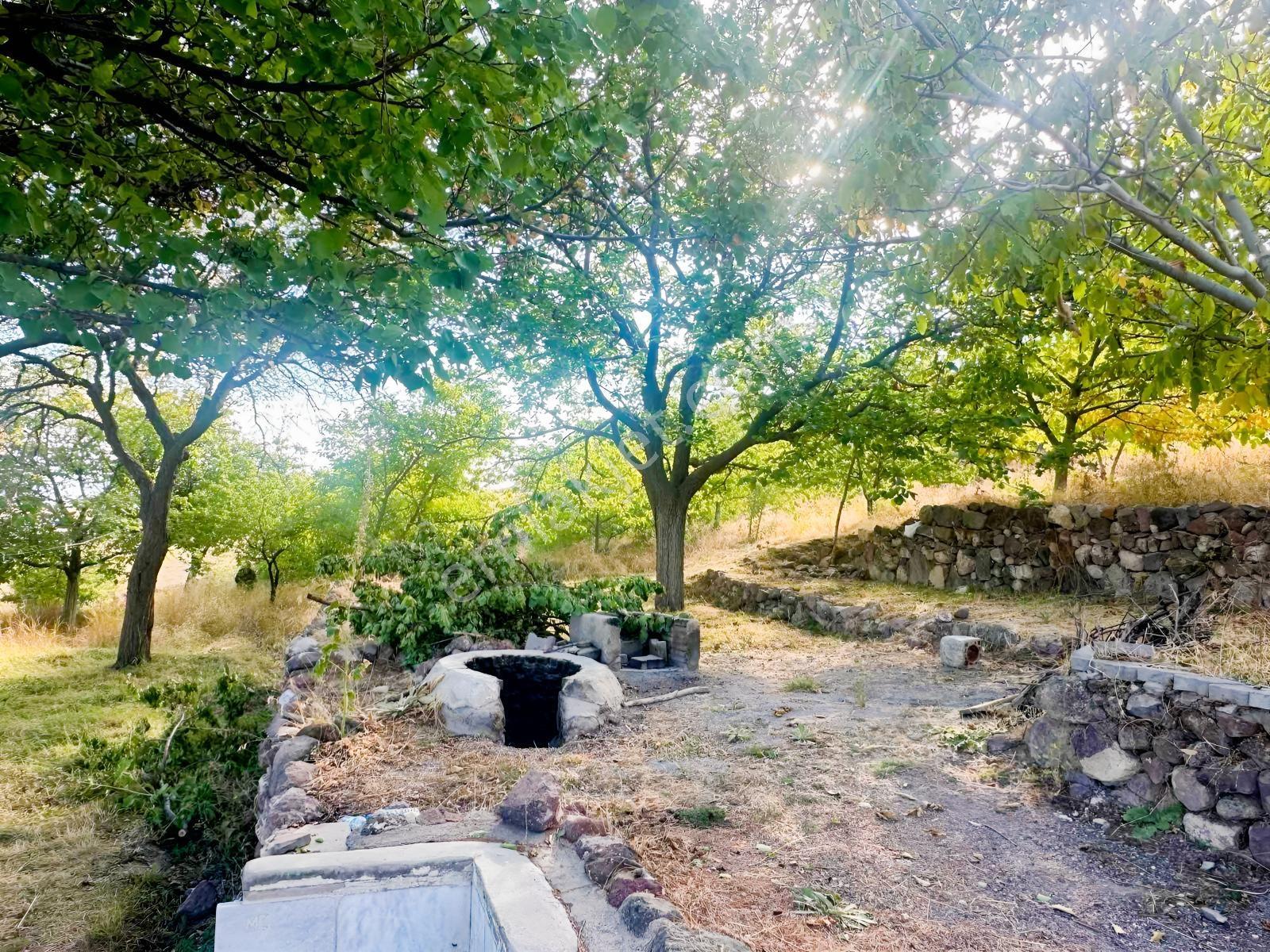 Bor Okçuda 3930 M² Evli, İmarlı Bölümlü, Üzüm Bağlı Bahçe — fotoğraf 7