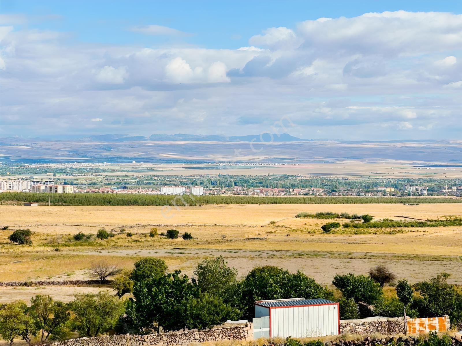Bor Okçuda 3930 M² Evli, İmarlı Bölümlü, Üzüm Bağlı Bahçe — fotoğraf 8