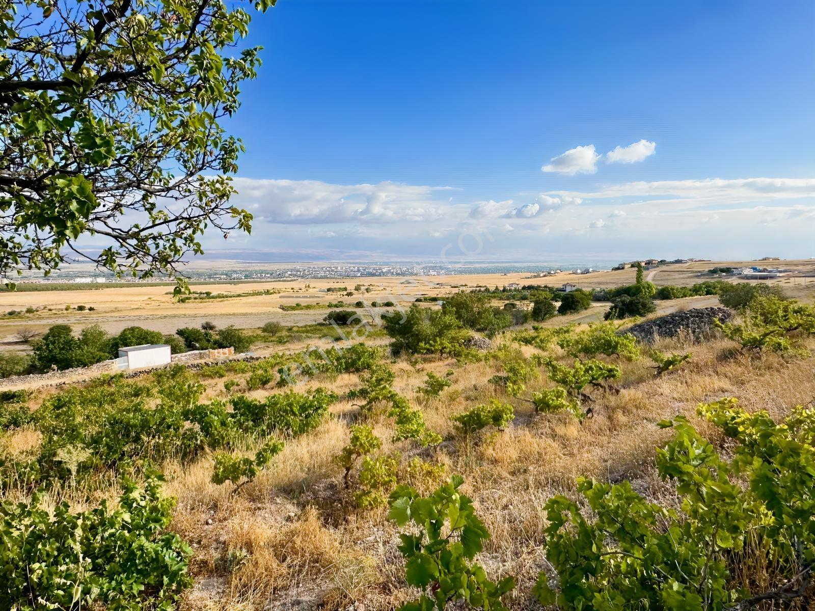 Bor Okçuda 3930 M² Evli, İmarlı Bölümlü, Üzüm Bağlı Bahçe — fotoğraf 9