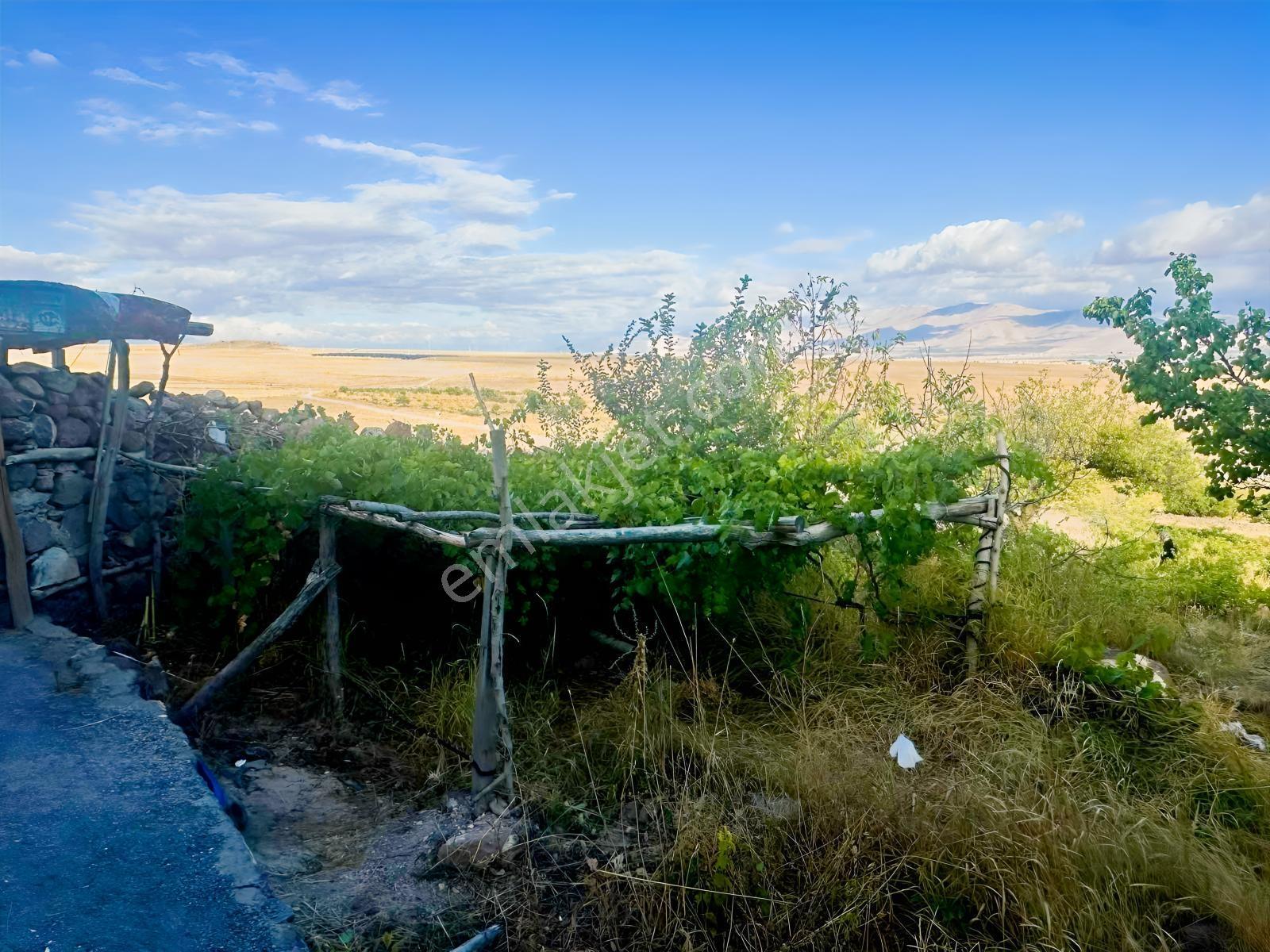 Bor Okçuda 3930 M² Evli, İmarlı Bölümlü, Üzüm Bağlı Bahçe — fotoğraf 10