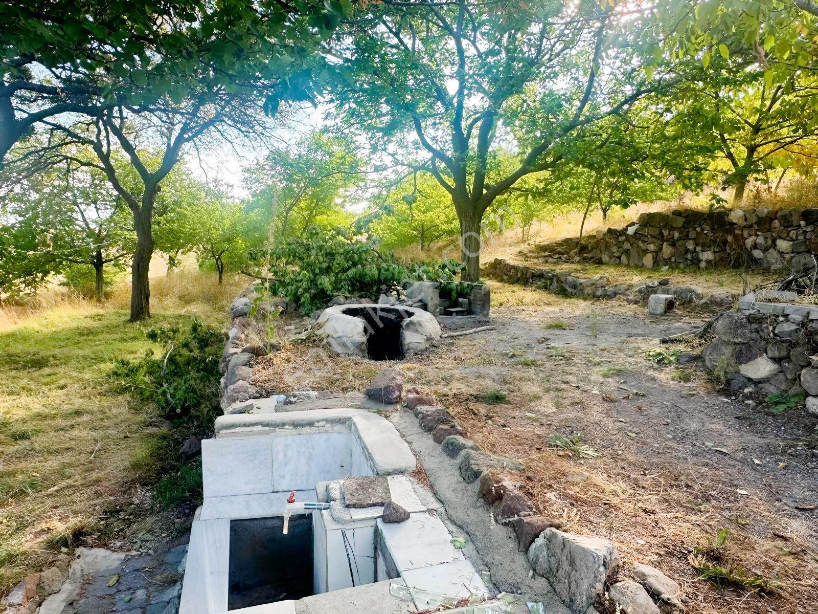 Bor Okçuda 3930 M² Evli, İmarlı Bölümlü, Üzüm Bağlı Bahçe — fotoğraf 11