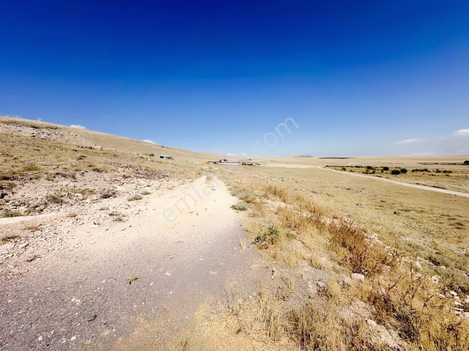 Bor Okçuda 3930 M² Evli, İmarlı Bölümlü, Üzüm Bağlı Bahçe — fotoğraf 16