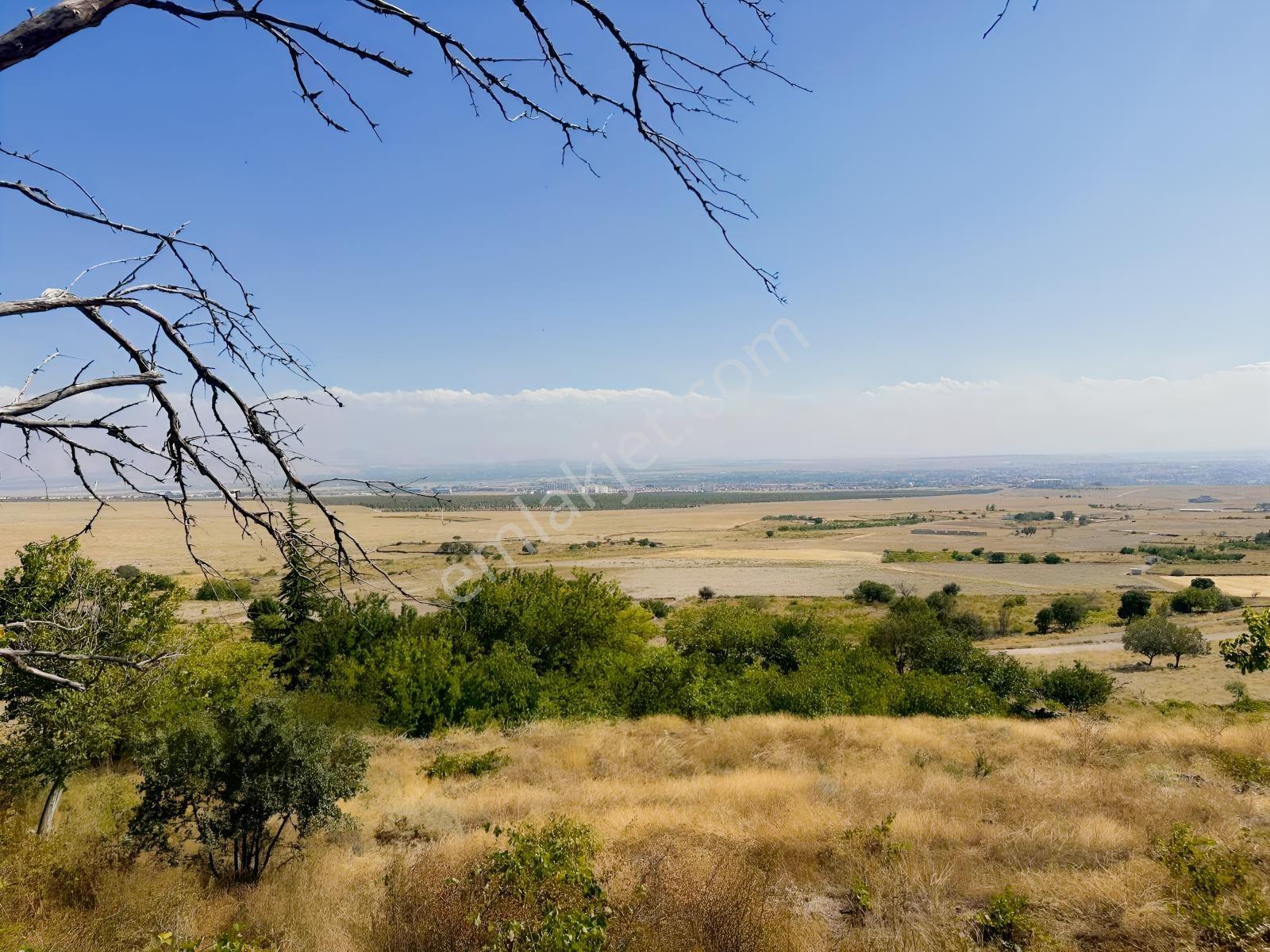 Bor Okçuda 3930 M² Evli, İmarlı Bölümlü, Üzüm Bağlı Bahçe — fotoğraf 17