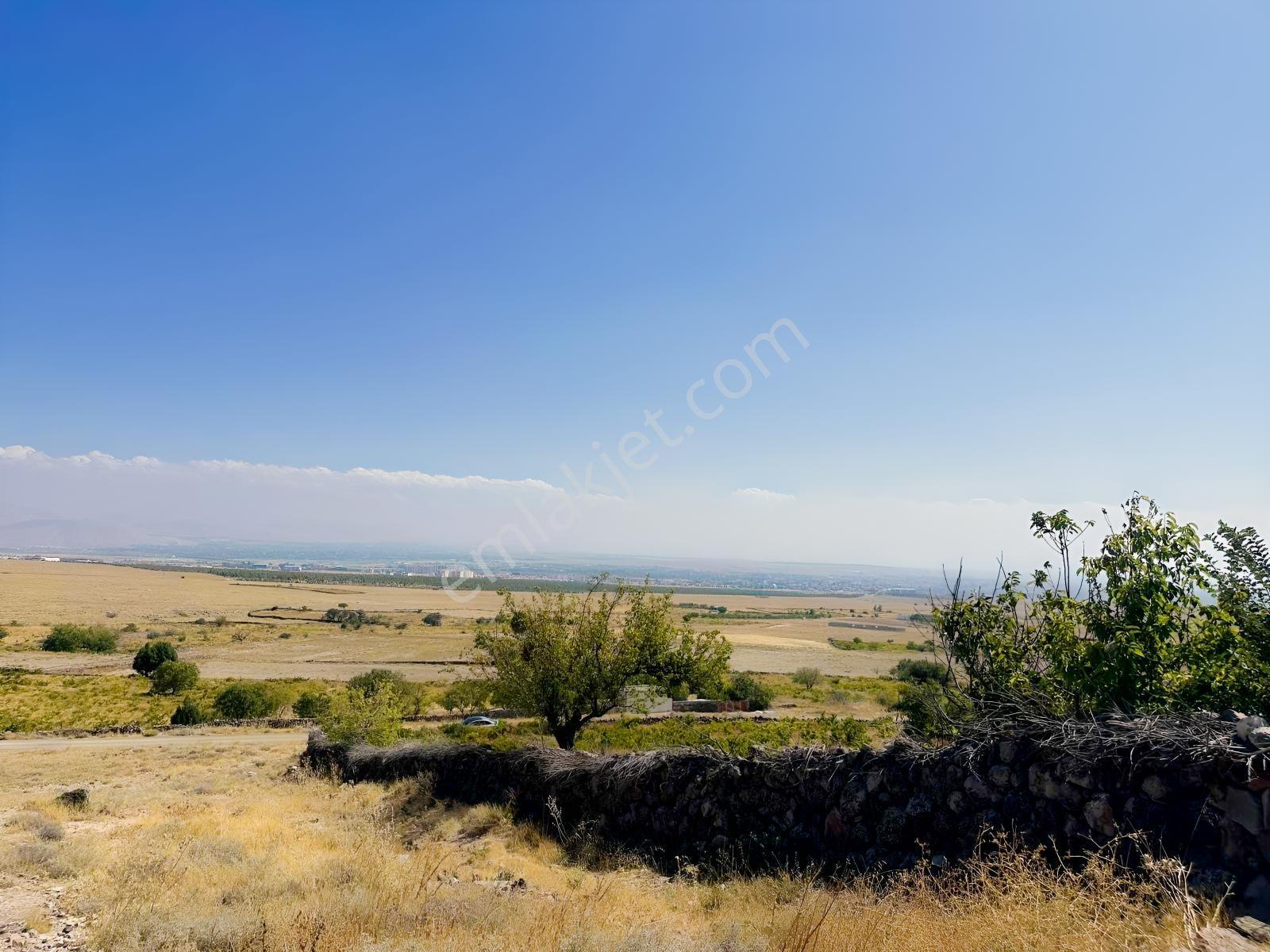 Bor Okçuda 3930 M² Evli, İmarlı Bölümlü, Üzüm Bağlı Bahçe — fotoğraf 18