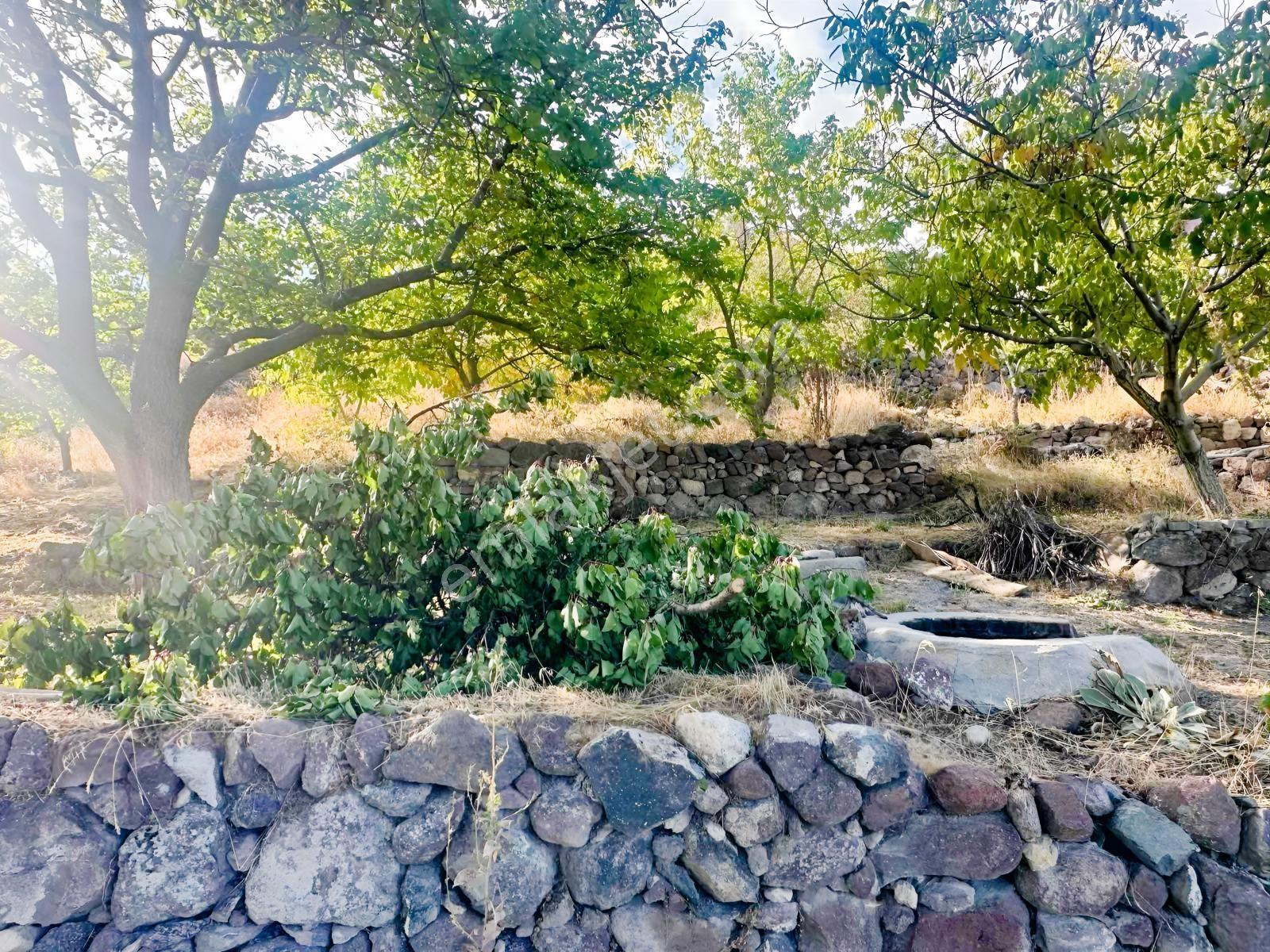 Bor Okçuda 3930 M² Evli, İmarlı Bölümlü, Üzüm Bağlı Bahçe — fotoğraf 20