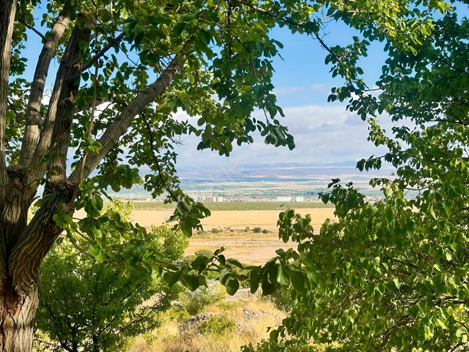 Bor Okçuda 3930 M² Evli, İmarlı Bölümlü, Üzüm Bağlı Bahçe — fotoğraf 24