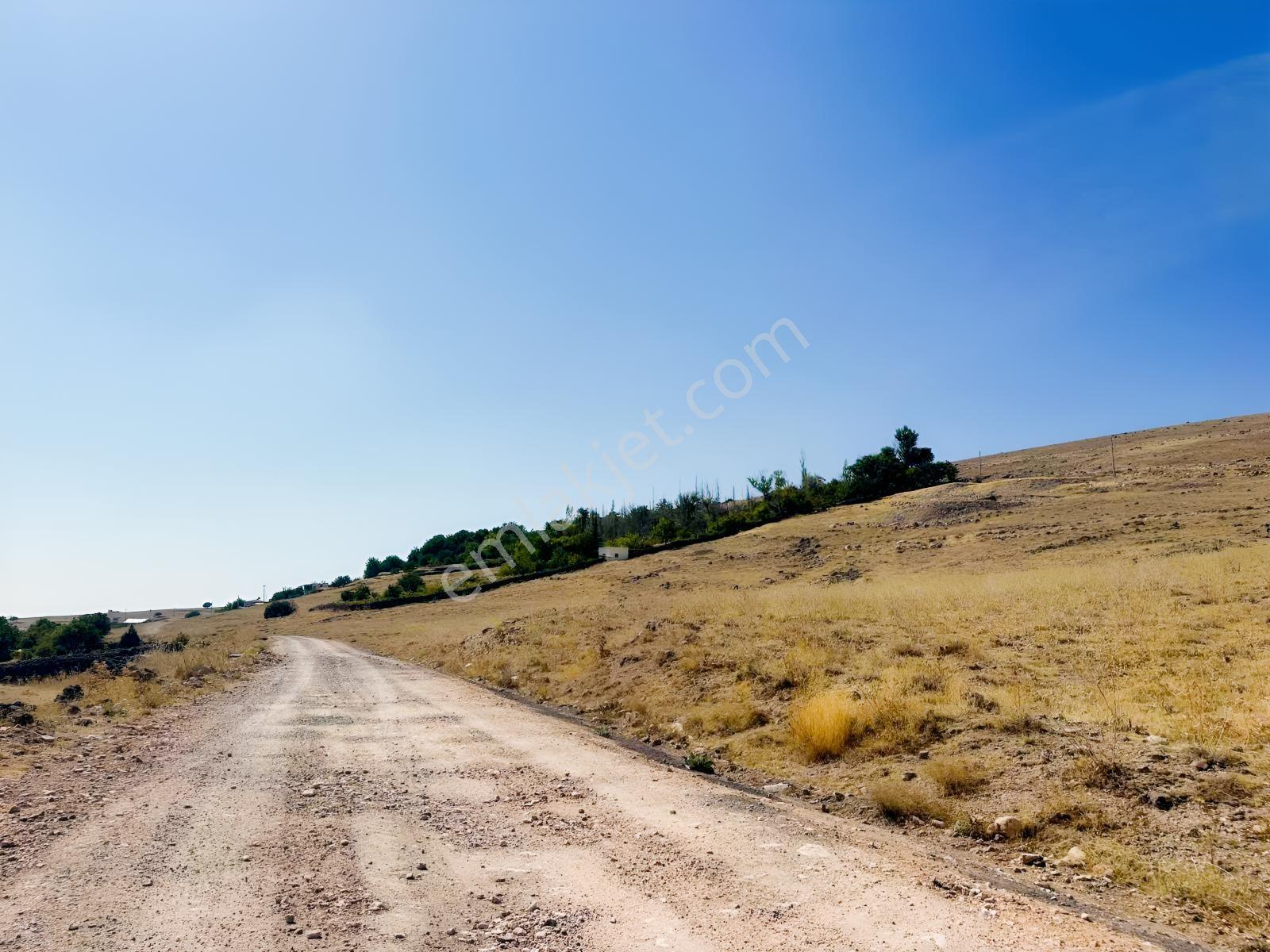 Bor Okçuda 3930 M² Evli, İmarlı Bölümlü, Üzüm Bağlı Bahçe — fotoğraf 26