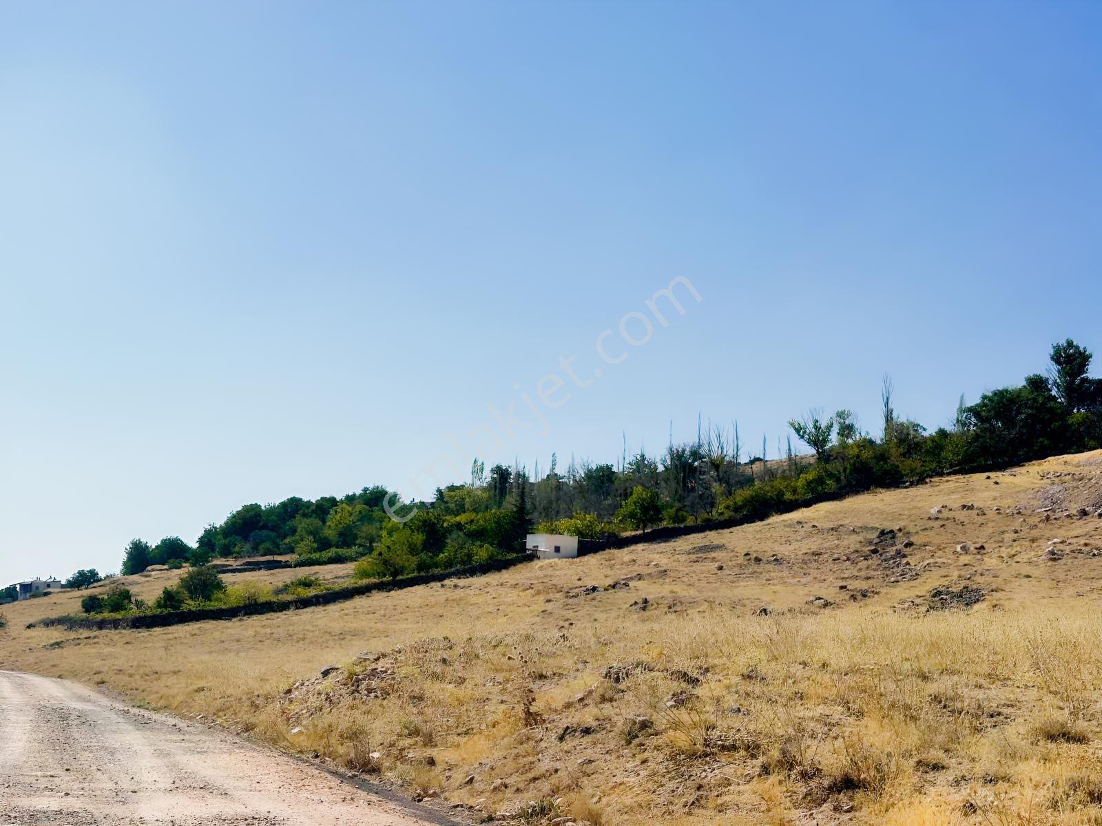 Bor Okçuda 3930 M² Evli, İmarlı Bölümlü, Üzüm Bağlı Bahçe — fotoğraf 27