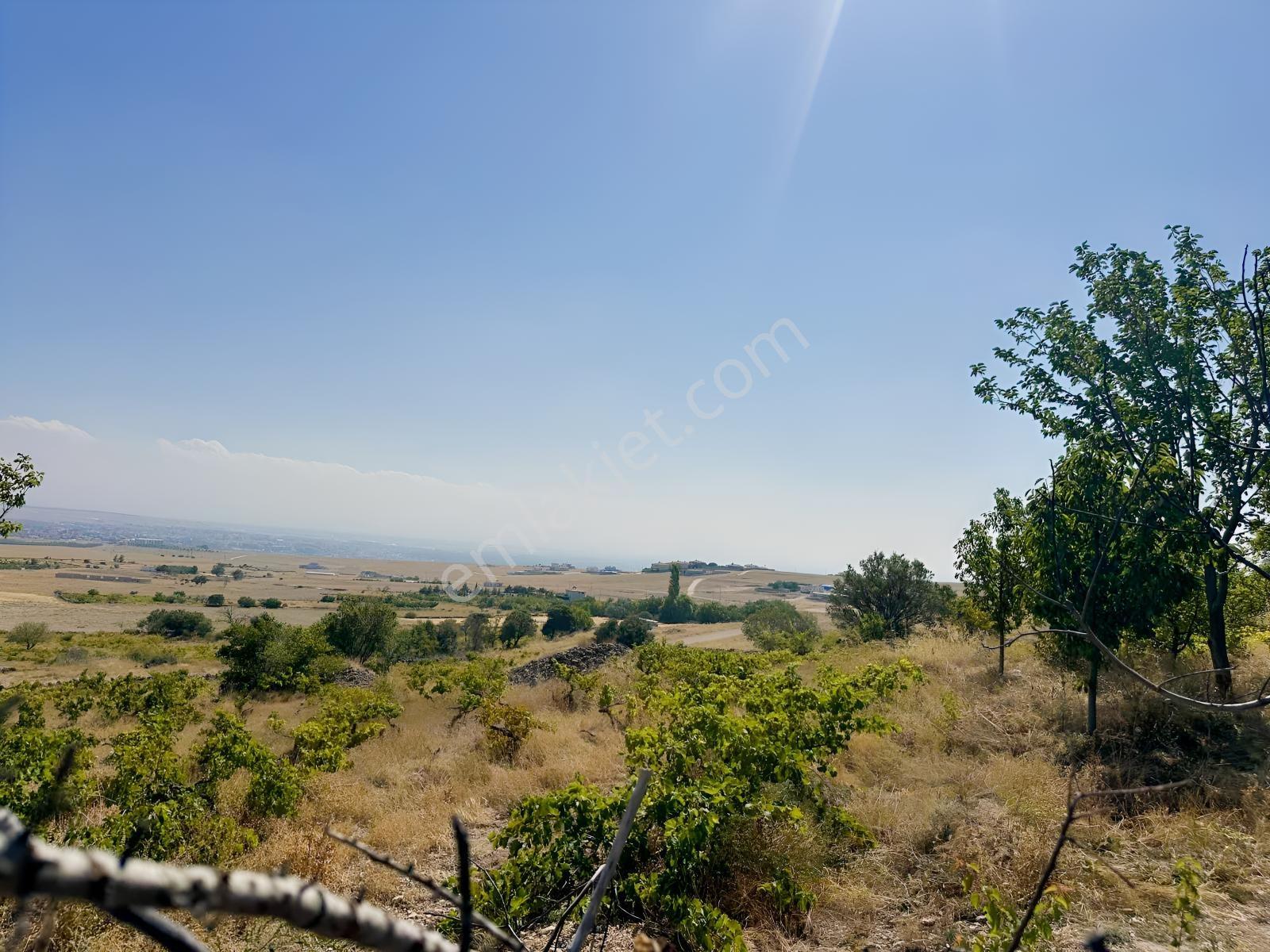 Bor Okçuda 3930 M² Evli, İmarlı Bölümlü, Üzüm Bağlı Bahçe — fotoğraf 29
