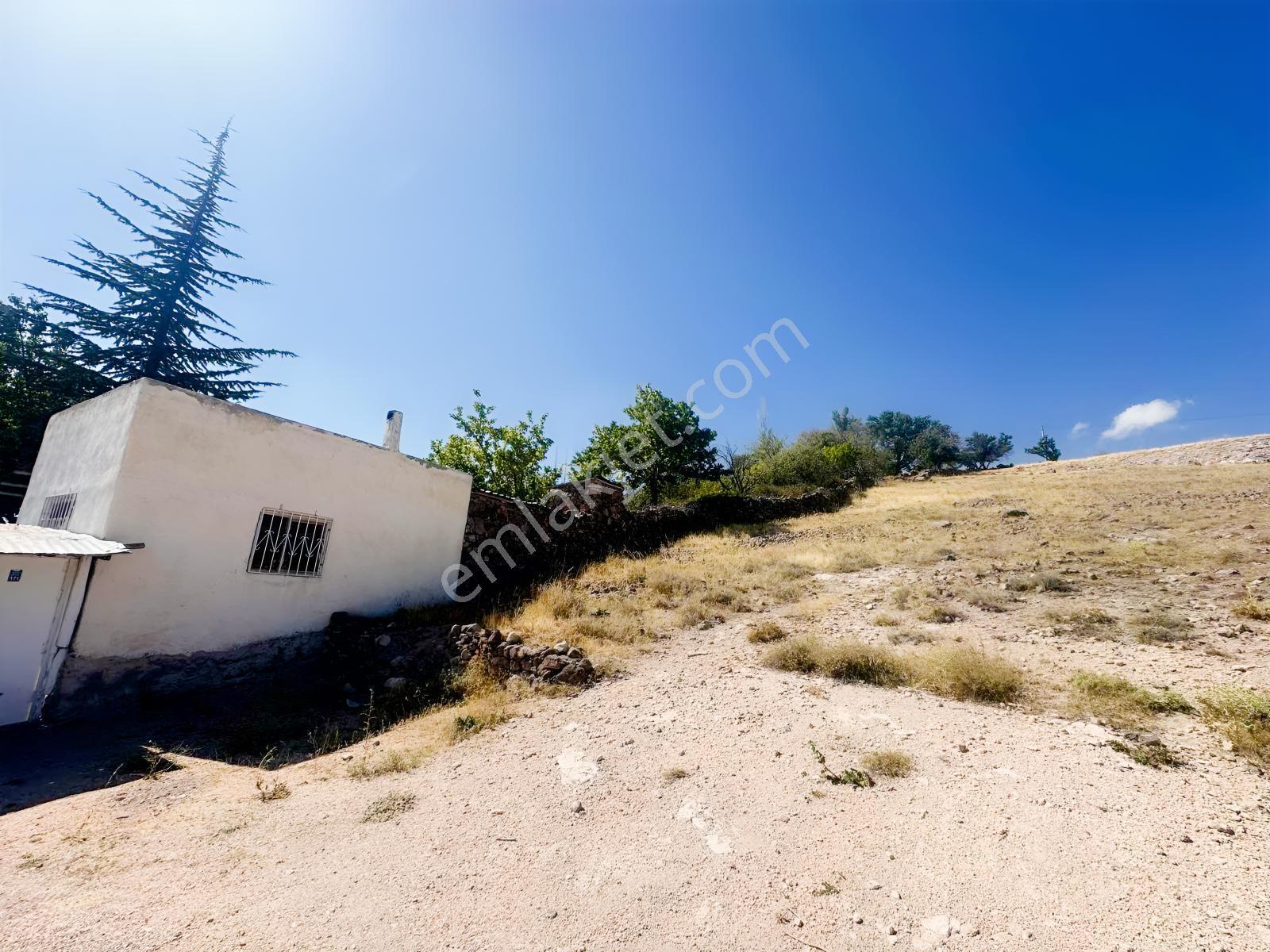 Bor Okçuda 3930 M² Evli, İmarlı Bölümlü, Üzüm Bağlı Bahçe — fotoğraf 34