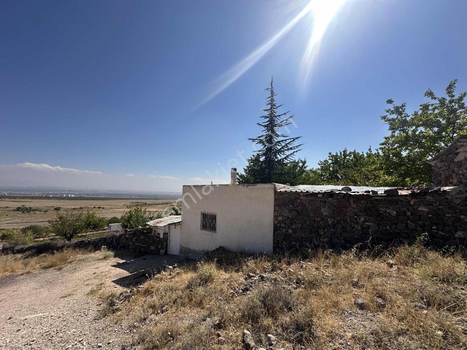 Bor Okçuda 3930 M² Evli, İmarlı Bölümlü, Üzüm Bağlı Bahçe — fotoğraf 35