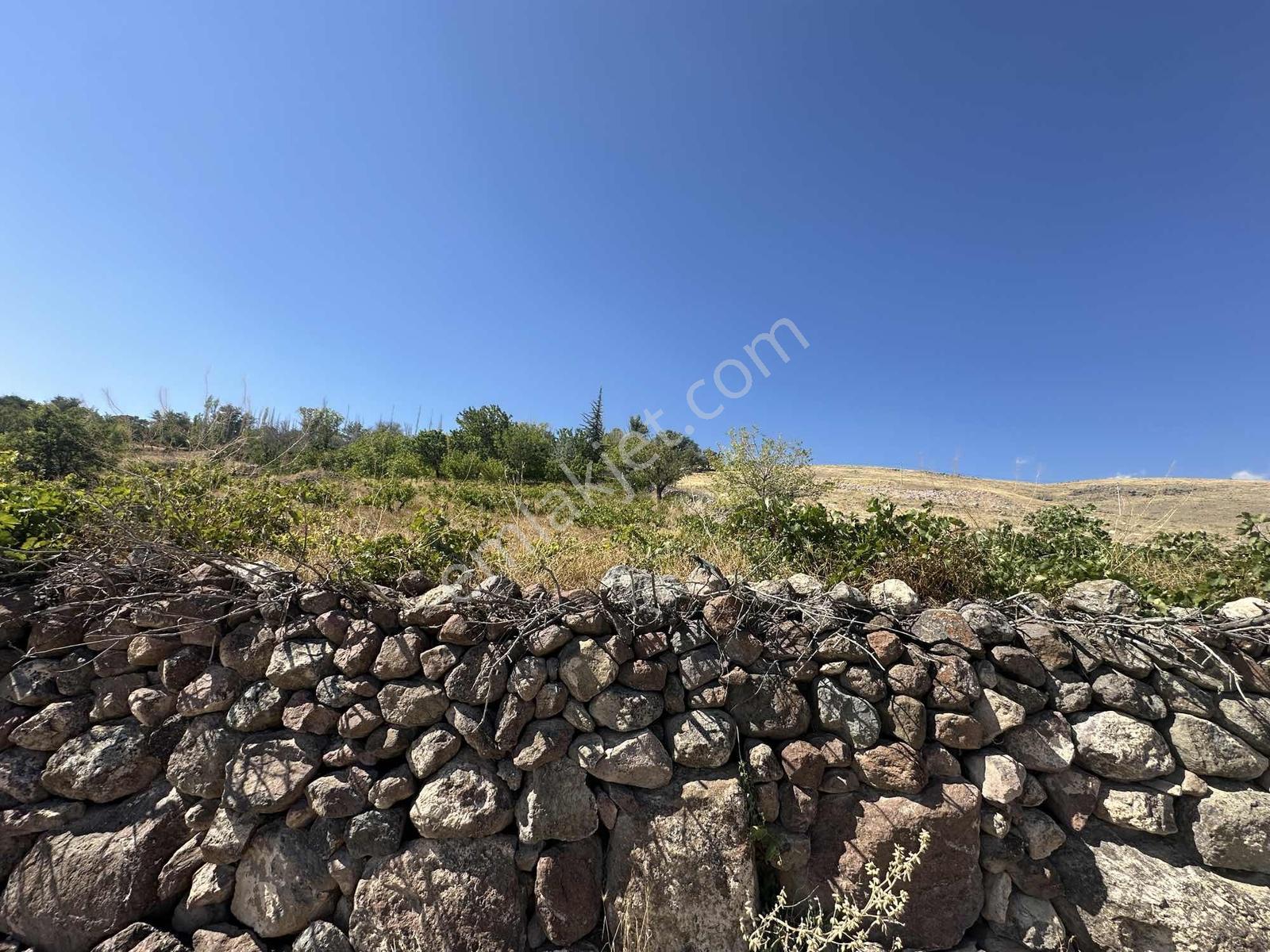 Bor Okçuda 3930 M² Evli, İmarlı Bölümlü, Üzüm Bağlı Bahçe — fotoğraf 36