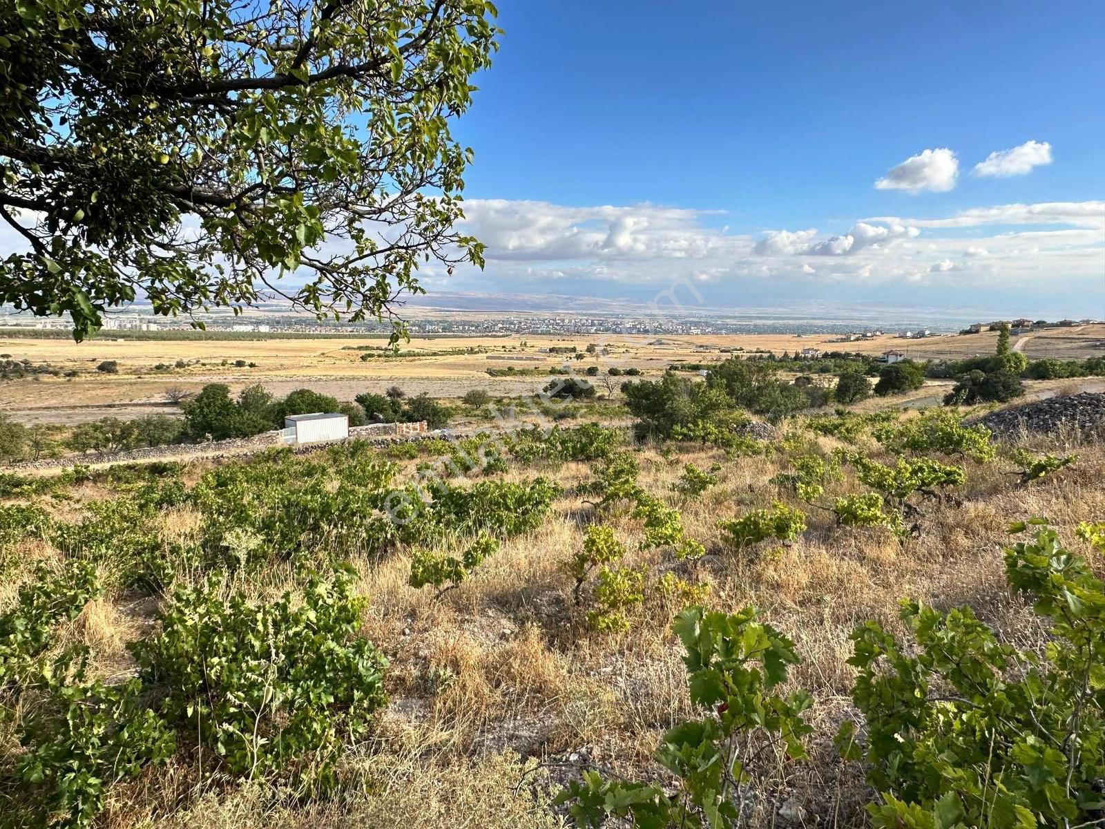 Bor Okçuda 3930 M² Evli, İmarlı Bölümlü, Üzüm Bağlı Bahçe — fotoğraf 38
