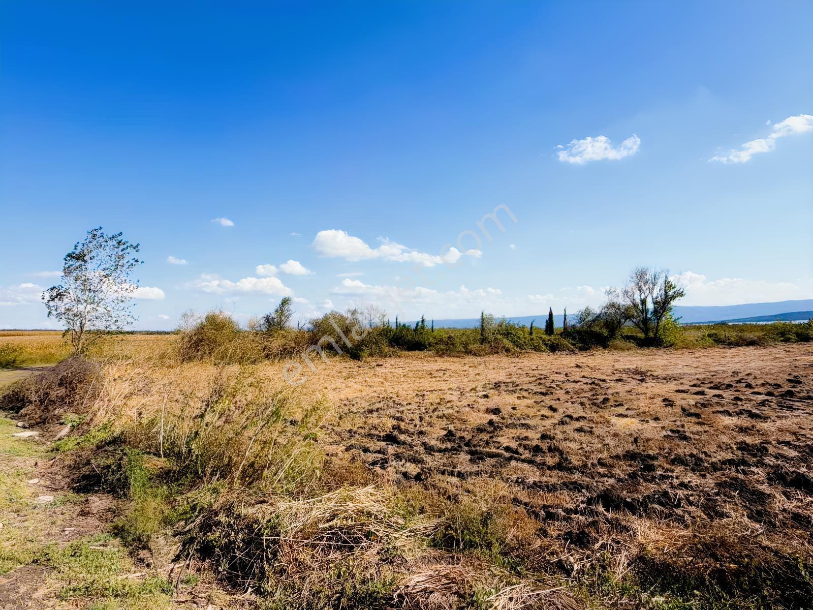Tırpan Gayrimenkulden Yenikaraağaçta 10.700.00m2 Satılık Tarla — fotoğraf 4