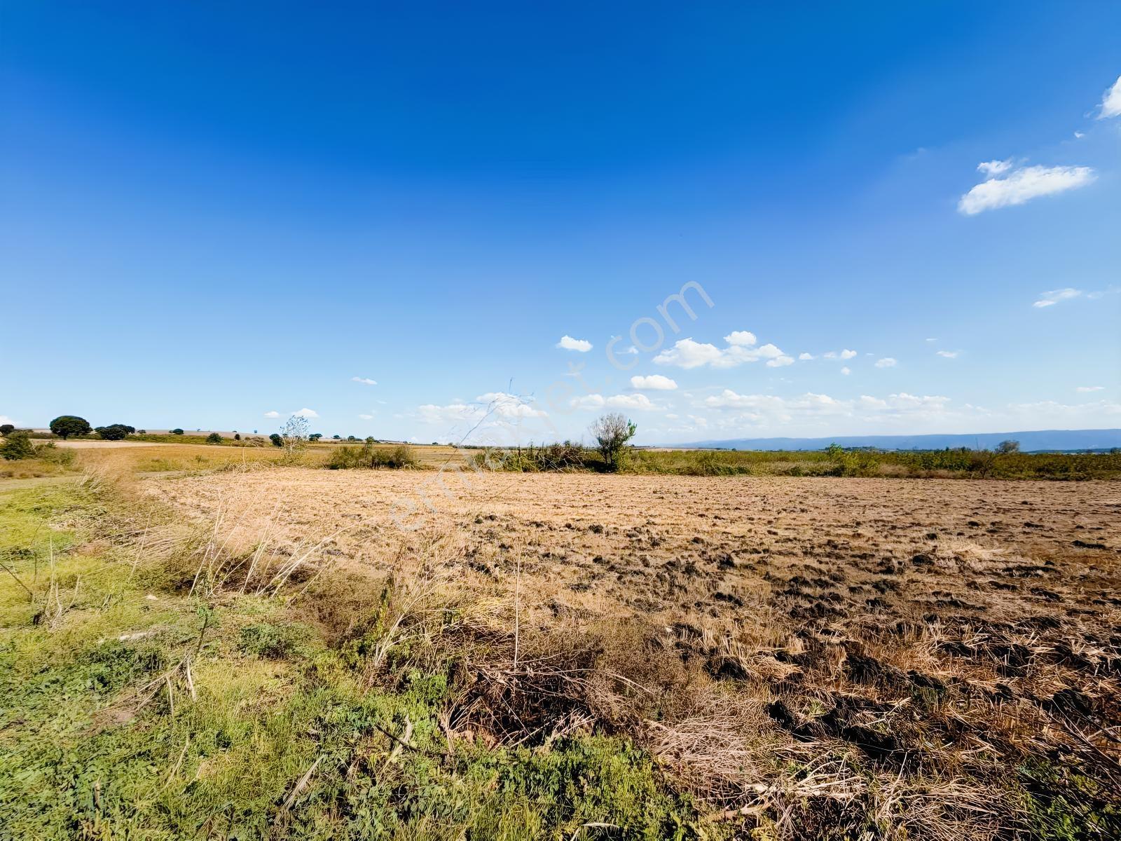 Tırpan Gayrimenkulden Yenikaraağaçta 10.700.00m2 Satılık Tarla — fotoğraf 8