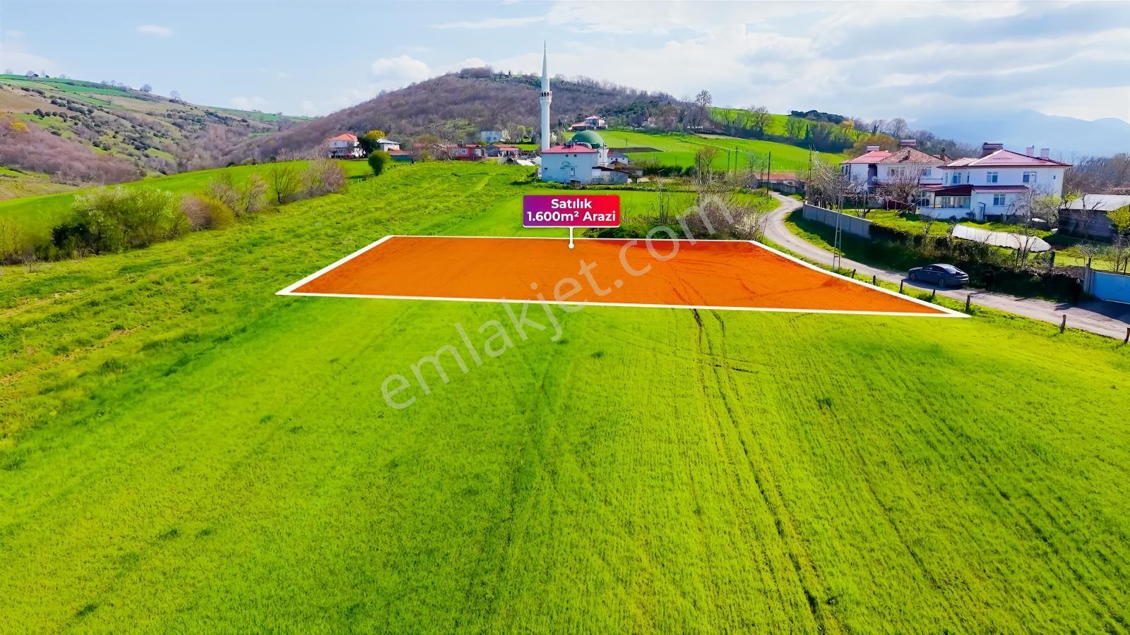 Bafra Köselide 3 Konut Potansiyelli 1.600 M² Müstakil Parsel — fotoğraf 2