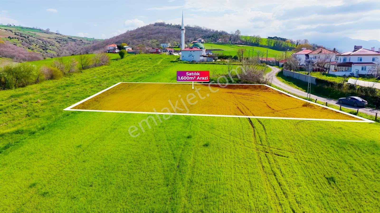 Bafra Köselide 3 Konut Potansiyelli 1.600 M² Müstakil Parsel — fotoğraf 3