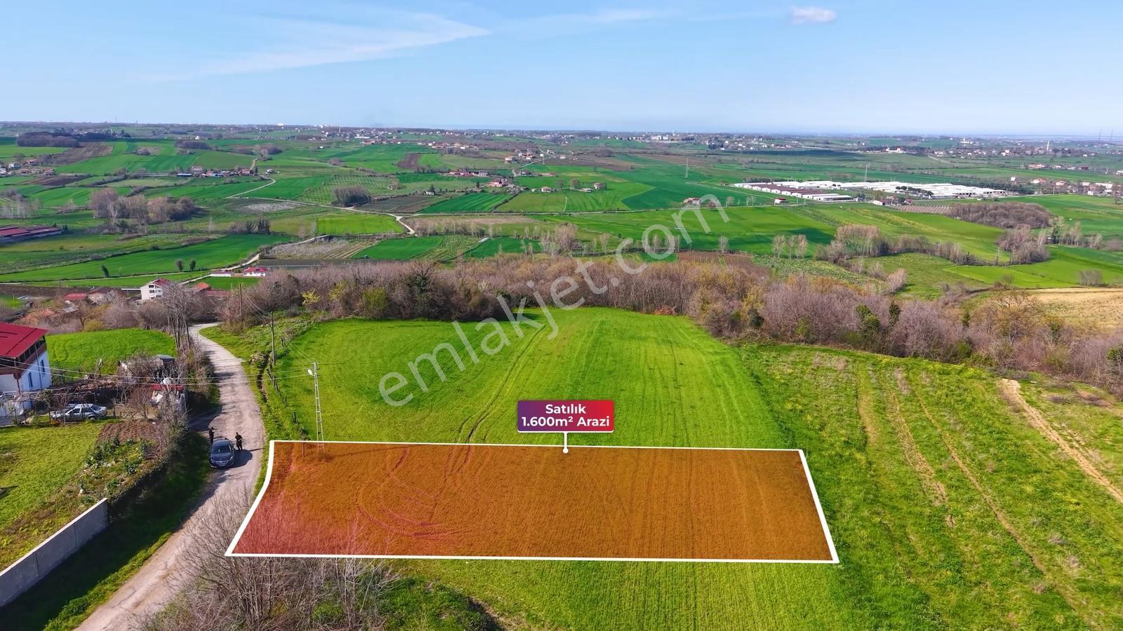 Bafra Köselide 3 Konut Potansiyelli 1.600 M² Müstakil Parsel — fotoğraf 4