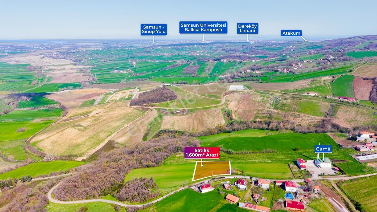 Bafra Köselide 3 Konut Potansiyelli 1.600 M² Müstakil Parsel — fotoğraf 5