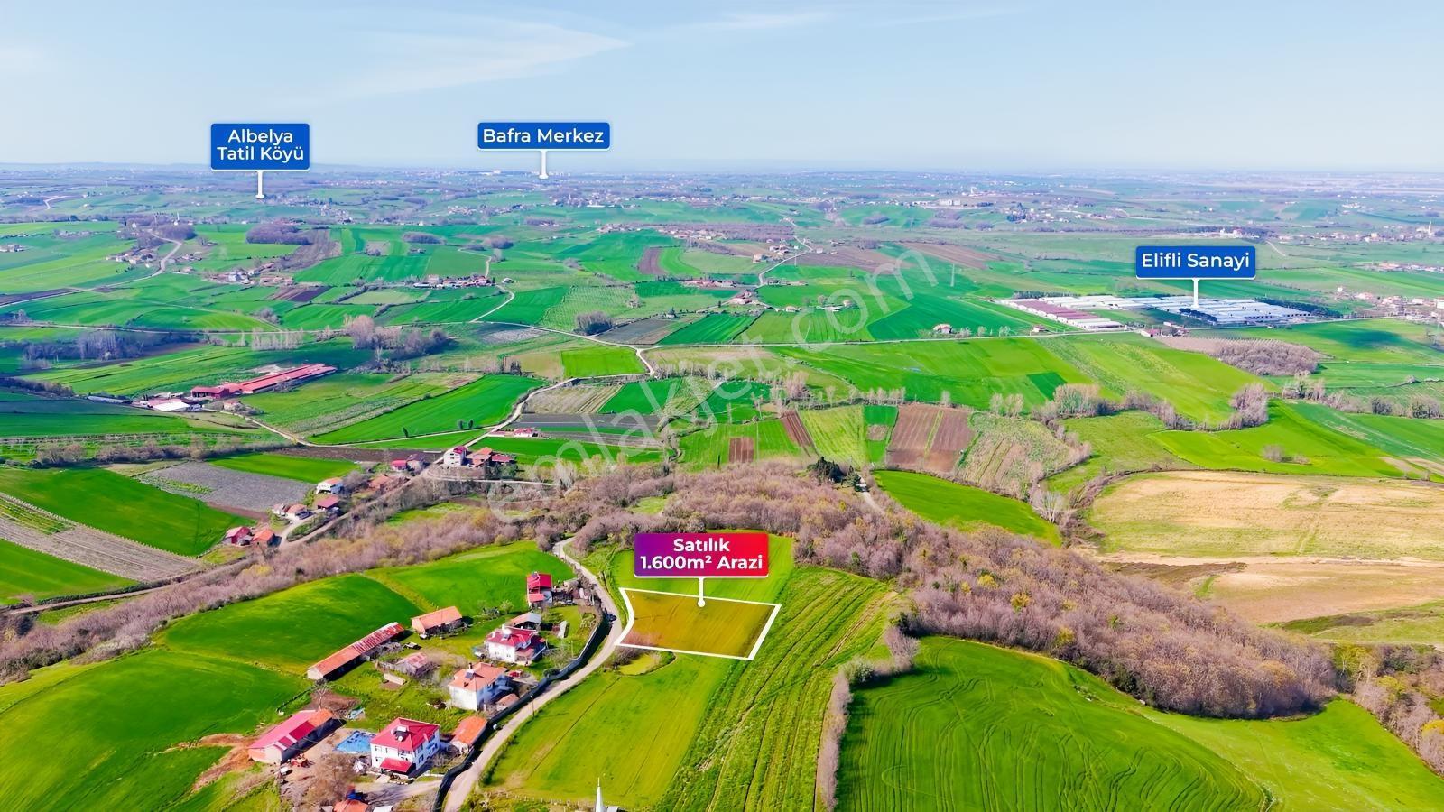 Bafra Köselide 3 Konut Potansiyelli 1.600 M² Müstakil Parsel — fotoğraf 6