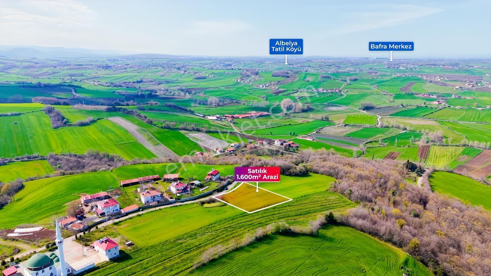 Bafra Köselide 3 Konut Potansiyelli 1.600 M² Müstakil Parsel — fotoğraf 7