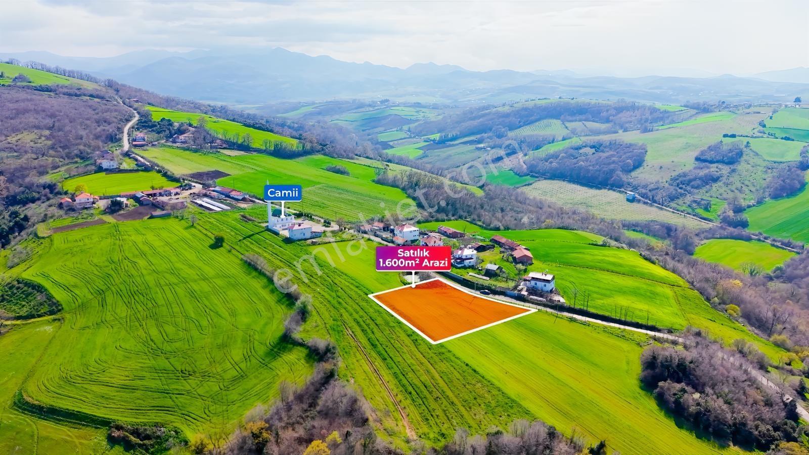 Bafra Köselide 3 Konut Potansiyelli 1.600 M² Müstakil Parsel — fotoğraf 8