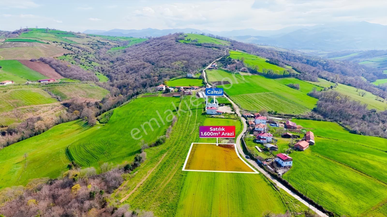 Bafra Köselide 3 Konut Potansiyelli 1.600 M² Müstakil Parsel — fotoğraf 9