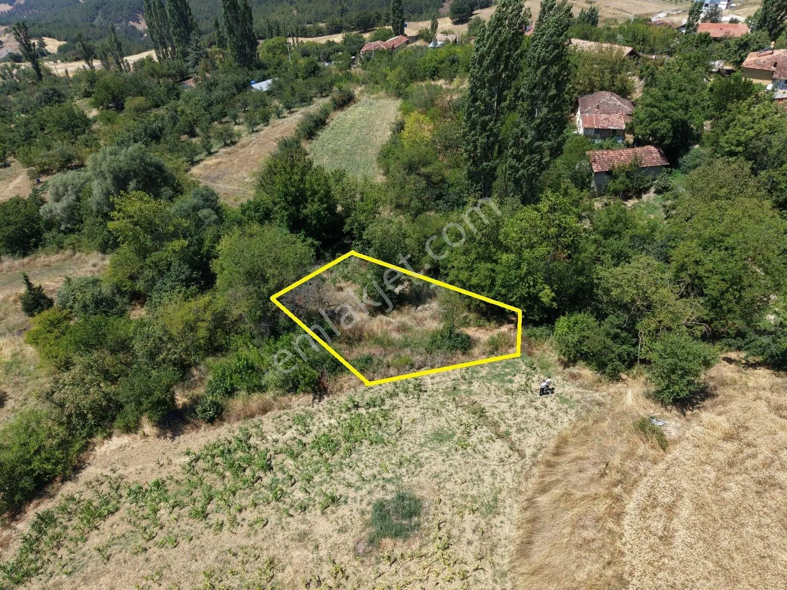 Geyve Poydularda Çok Uygun Fiyata Satılık İmarlı Arsa — fotoğraf 2