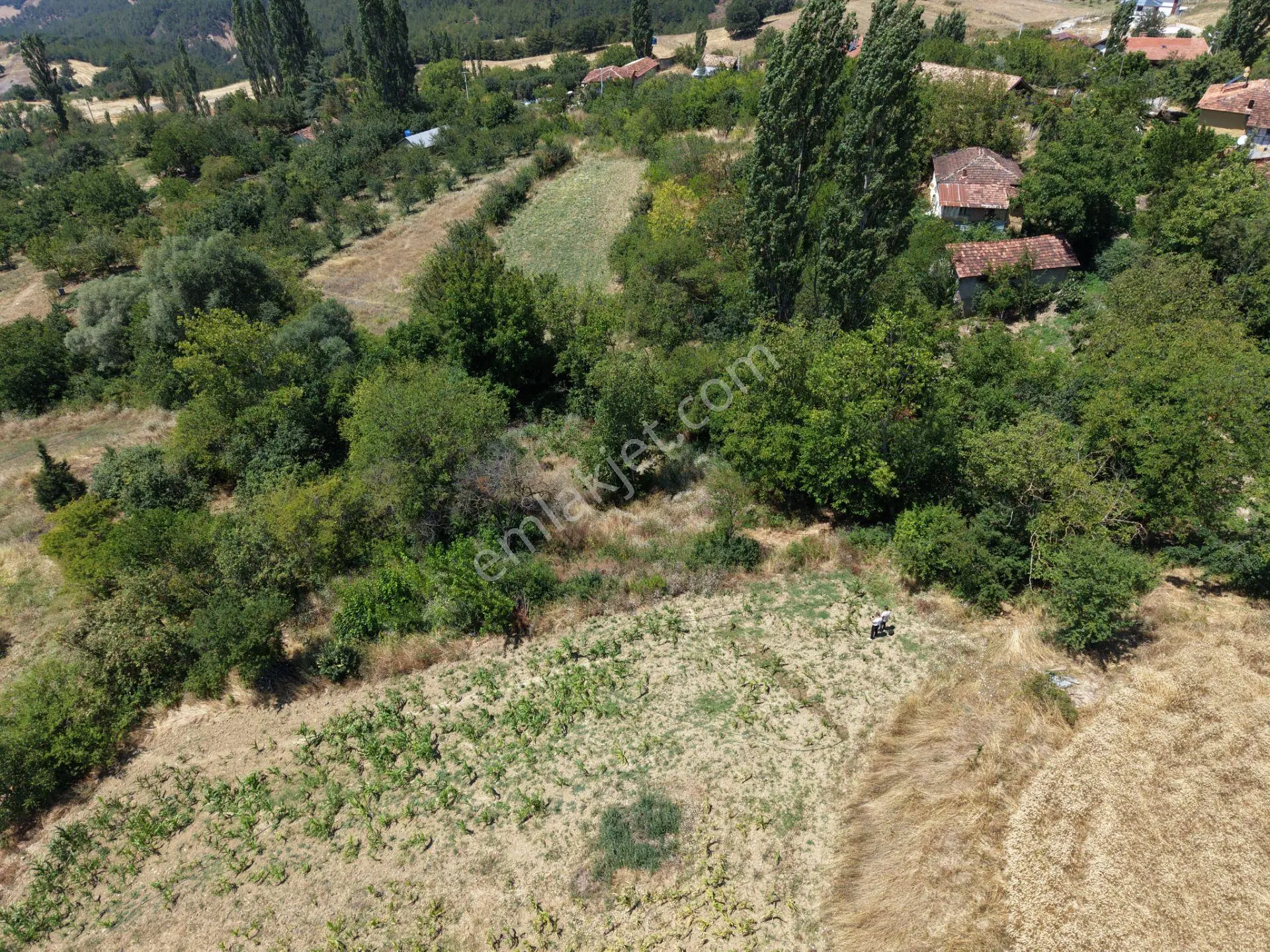 Geyve Poydularda Çok Uygun Fiyata Satılık İmarlı Arsa — fotoğraf 3