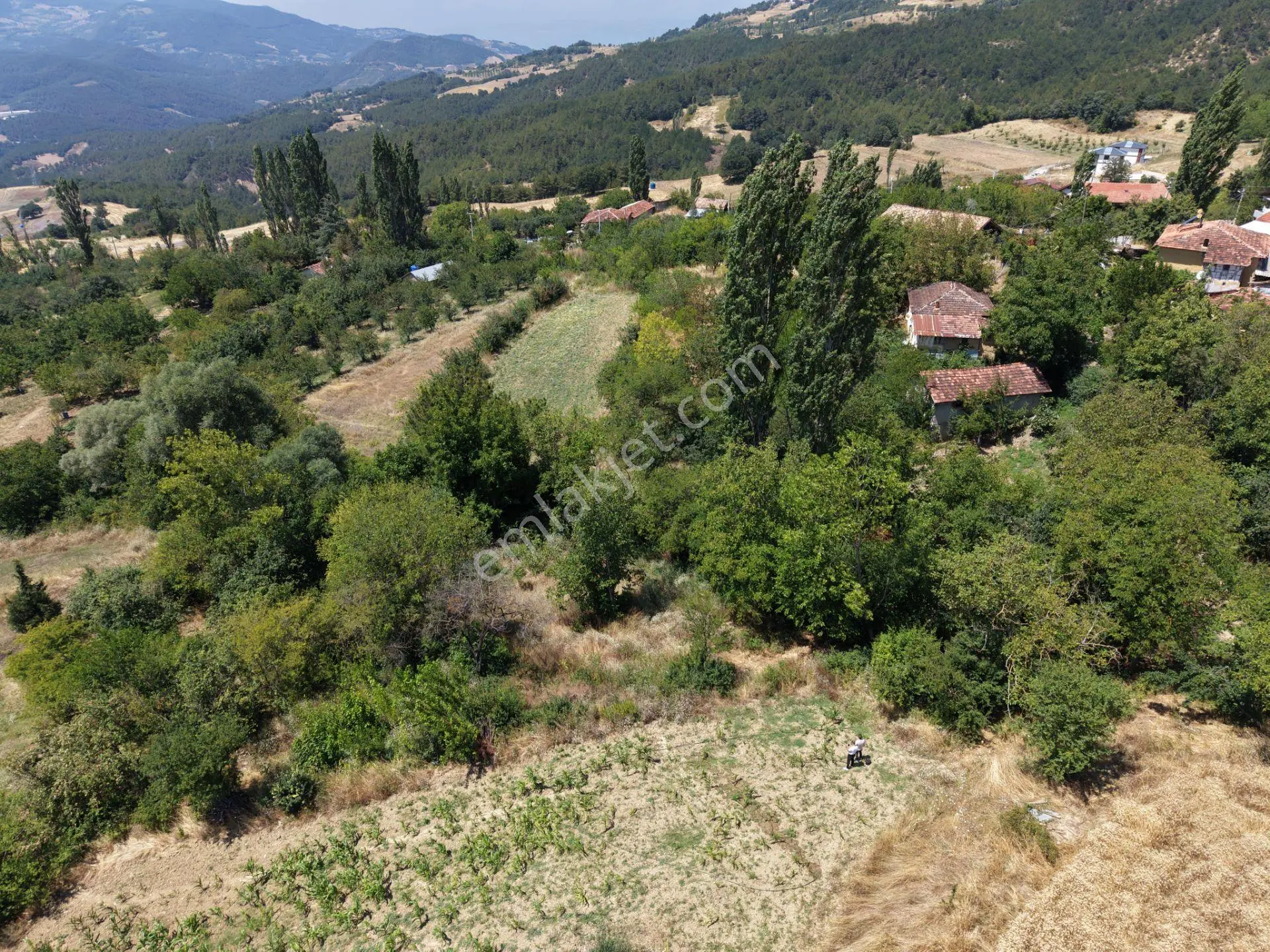 Geyve Poydularda Çok Uygun Fiyata Satılık İmarlı Arsa — fotoğraf 4
