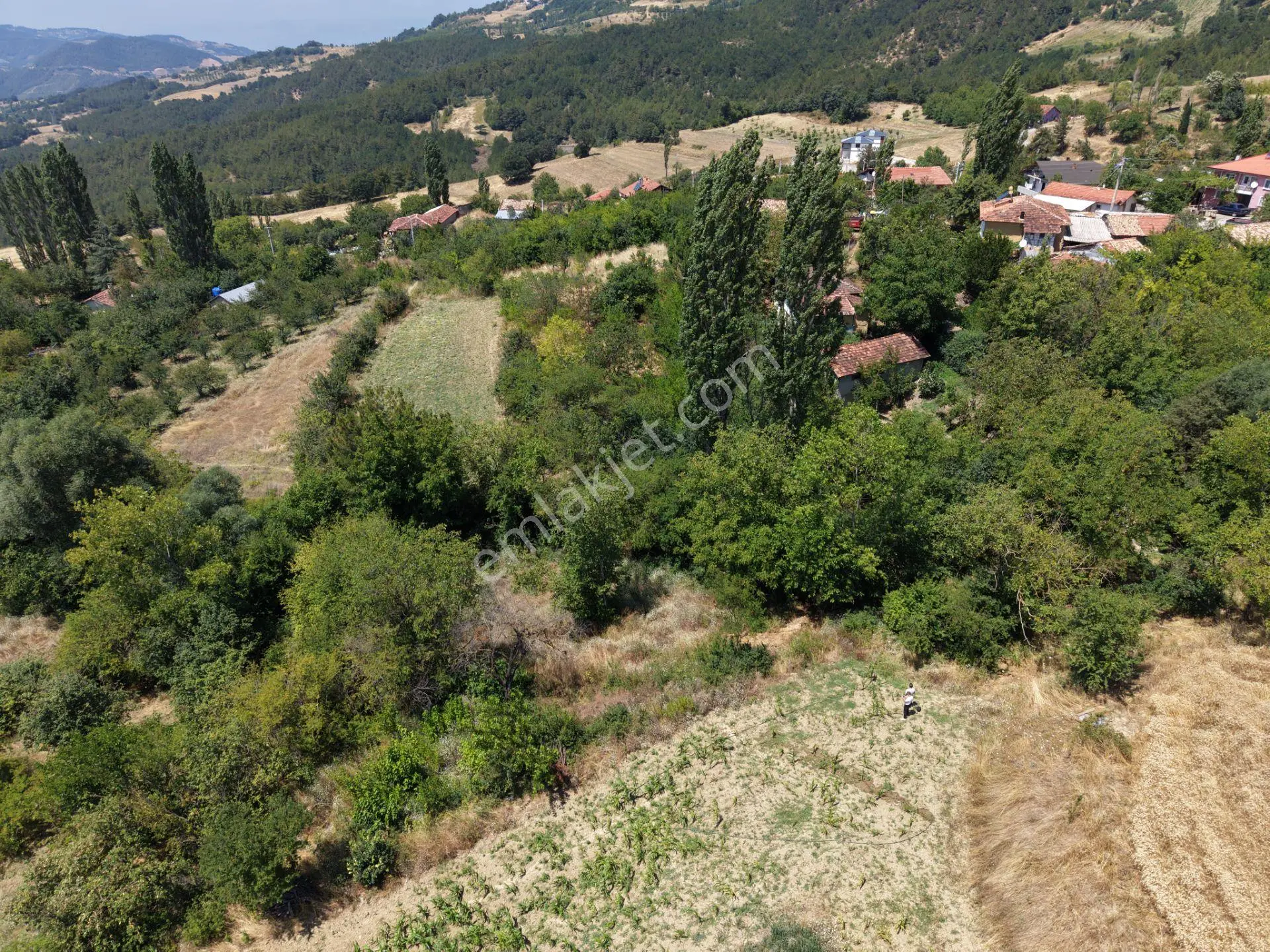 Geyve Poydularda Çok Uygun Fiyata Satılık İmarlı Arsa — fotoğraf 5