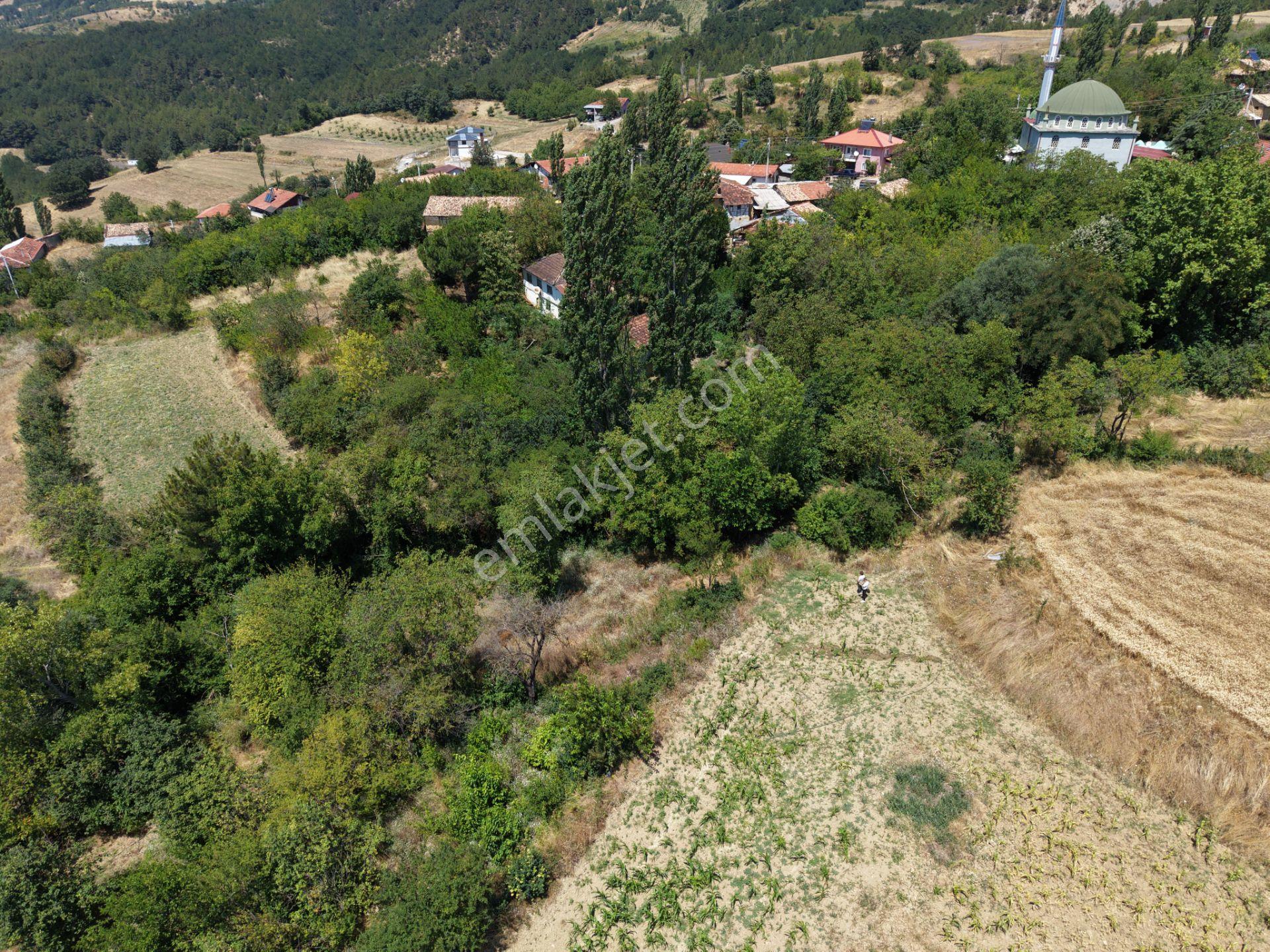 Geyve Poydularda Çok Uygun Fiyata Satılık İmarlı Arsa — fotoğraf 6