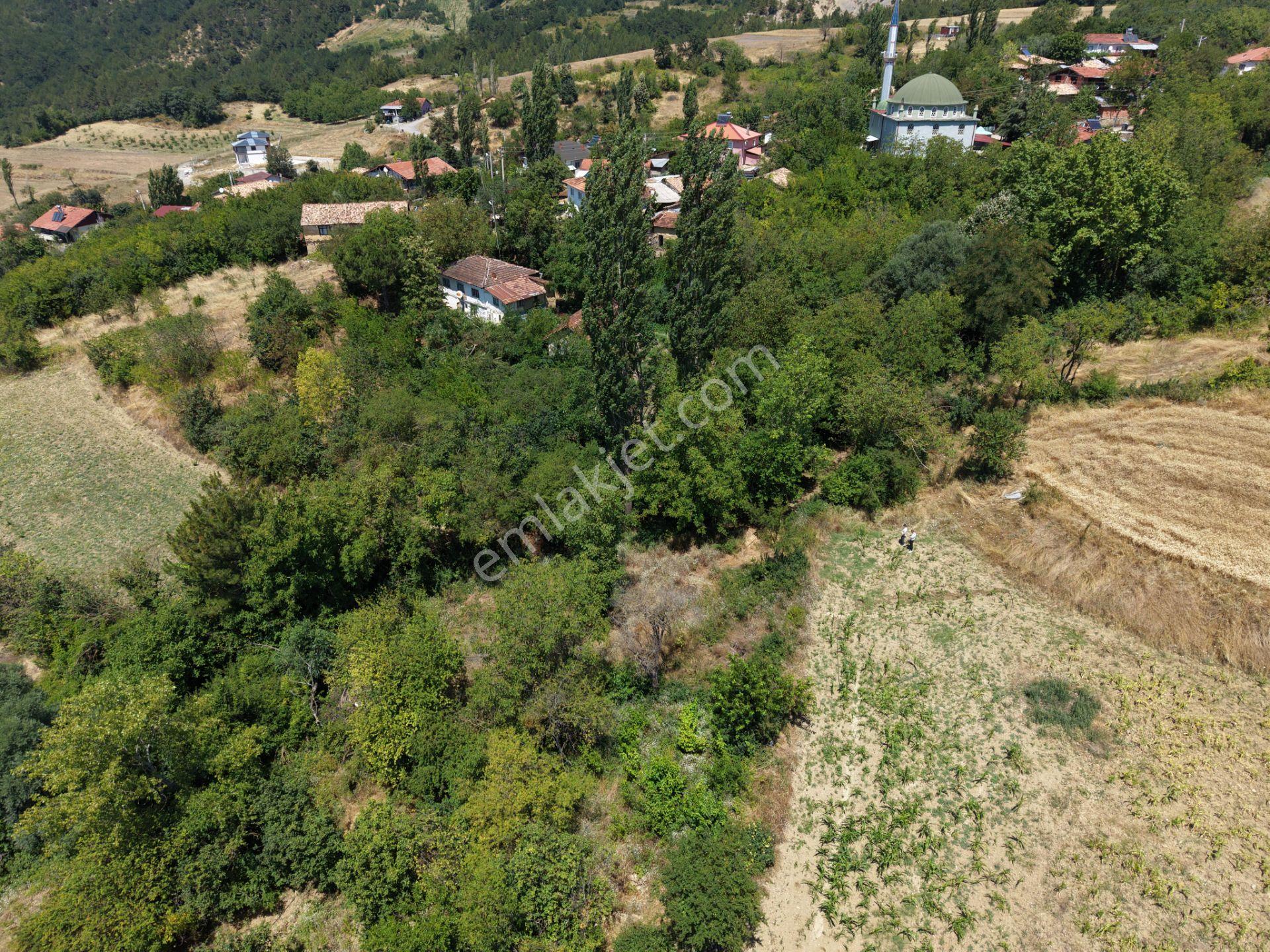 Geyve Poydularda Çok Uygun Fiyata Satılık İmarlı Arsa — fotoğraf 7