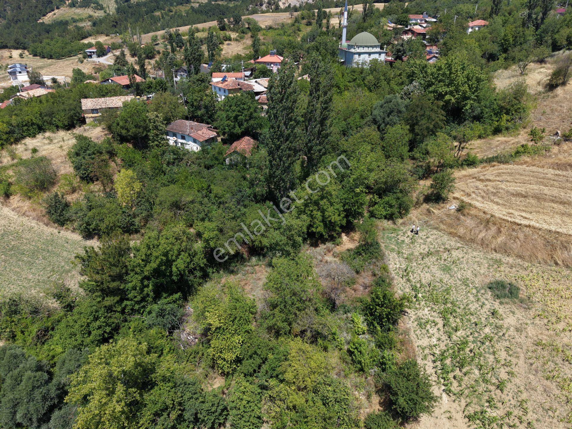 Geyve Poydularda Çok Uygun Fiyata Satılık İmarlı Arsa — fotoğraf 8