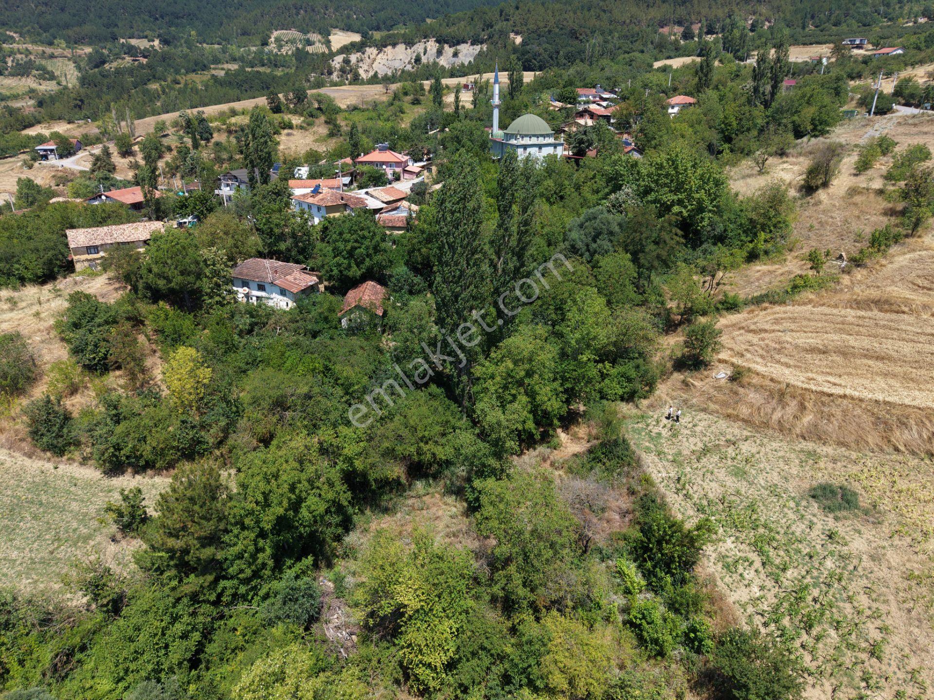 Geyve Poydularda Çok Uygun Fiyata Satılık İmarlı Arsa — fotoğraf 9